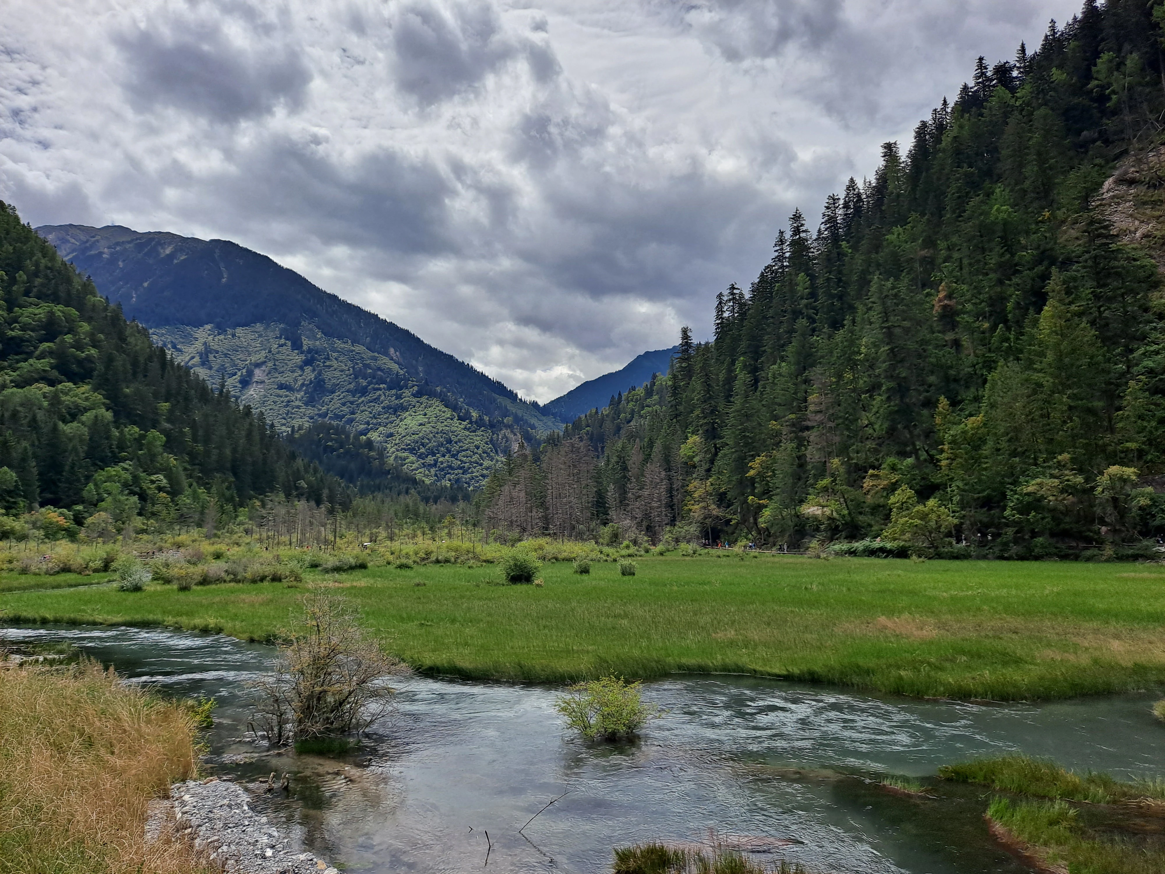 A wide view of a tranquil river winding through a grassy meadow surrounded by dense evergreen forests and mountain slopes under a cloudy sky.