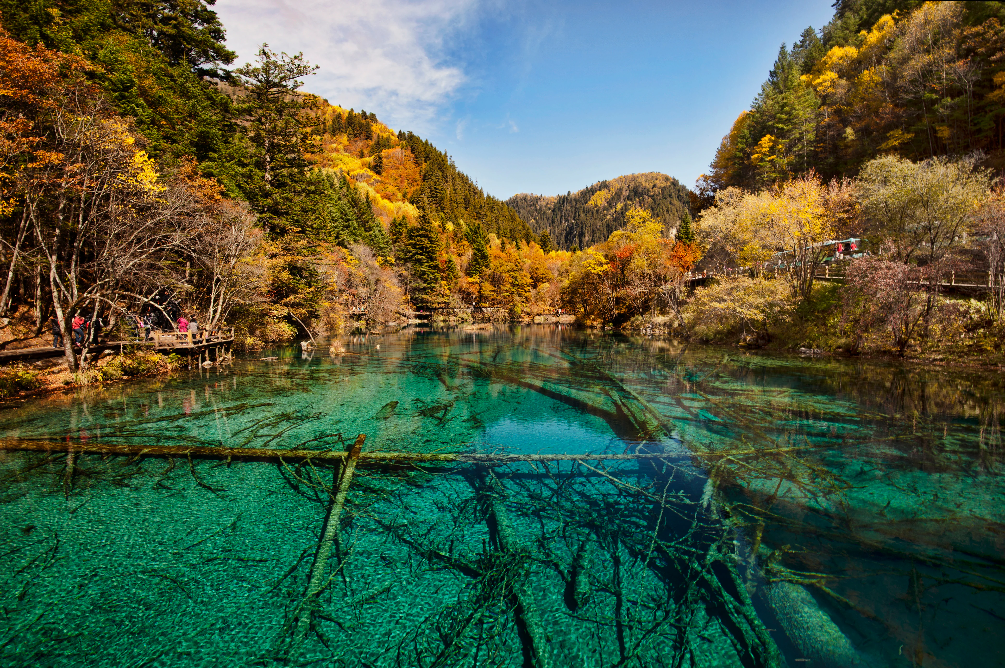 A clear, turquoise-colored lake filled with submerged tree trunks, surrounded by autumn forests with yellow and orange leaves under a blue sky.