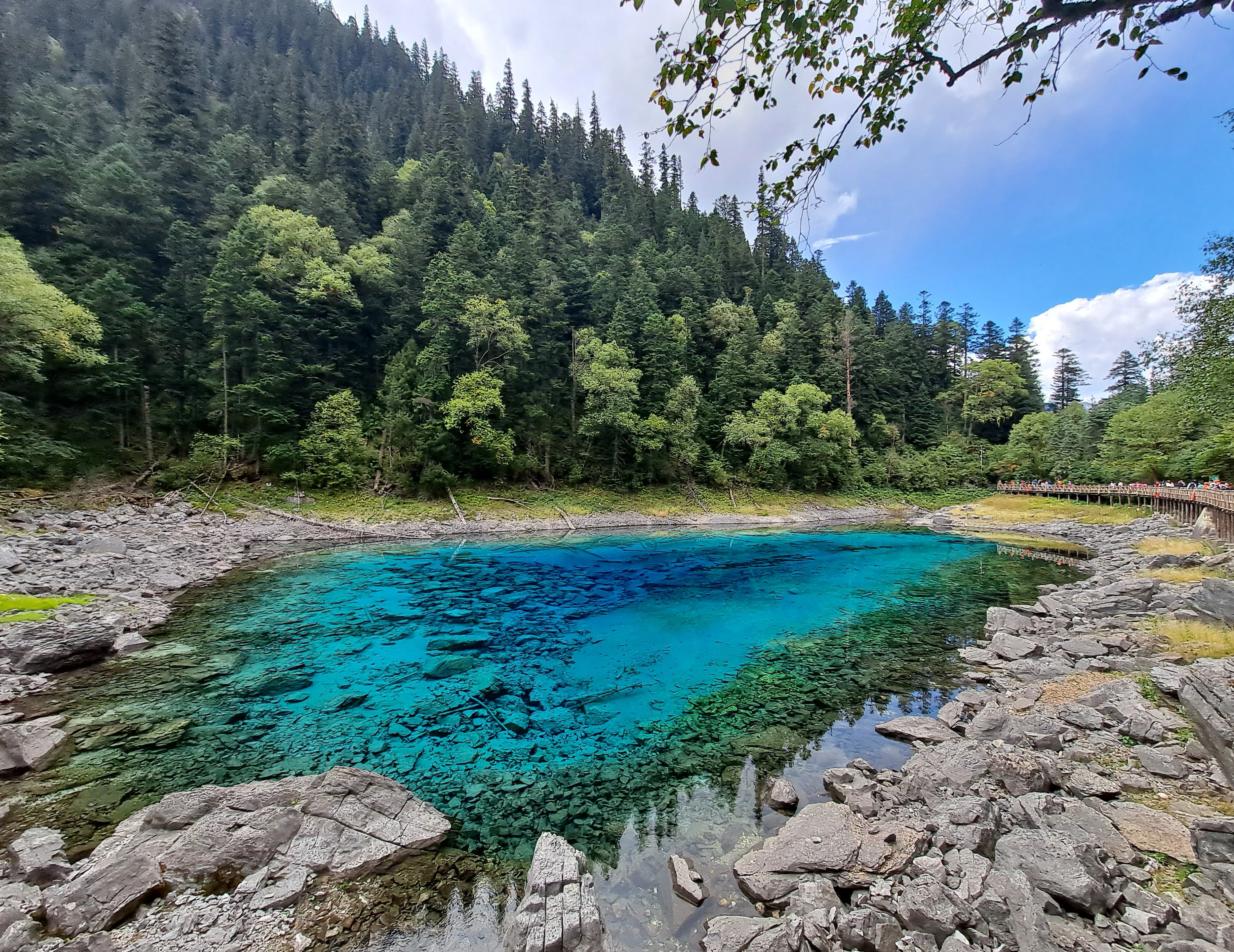 A clear, brilliant turquoise pool surrounded by rocky shores and a thick evergreen forest in Jiuzhaigou National Park.