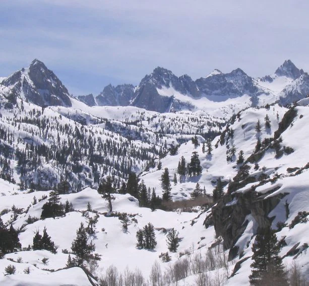 Wide view of rugged, snow-dusted Sierra Nevada mountain peaks rising above a subalpine forest blanketed in winter snow.