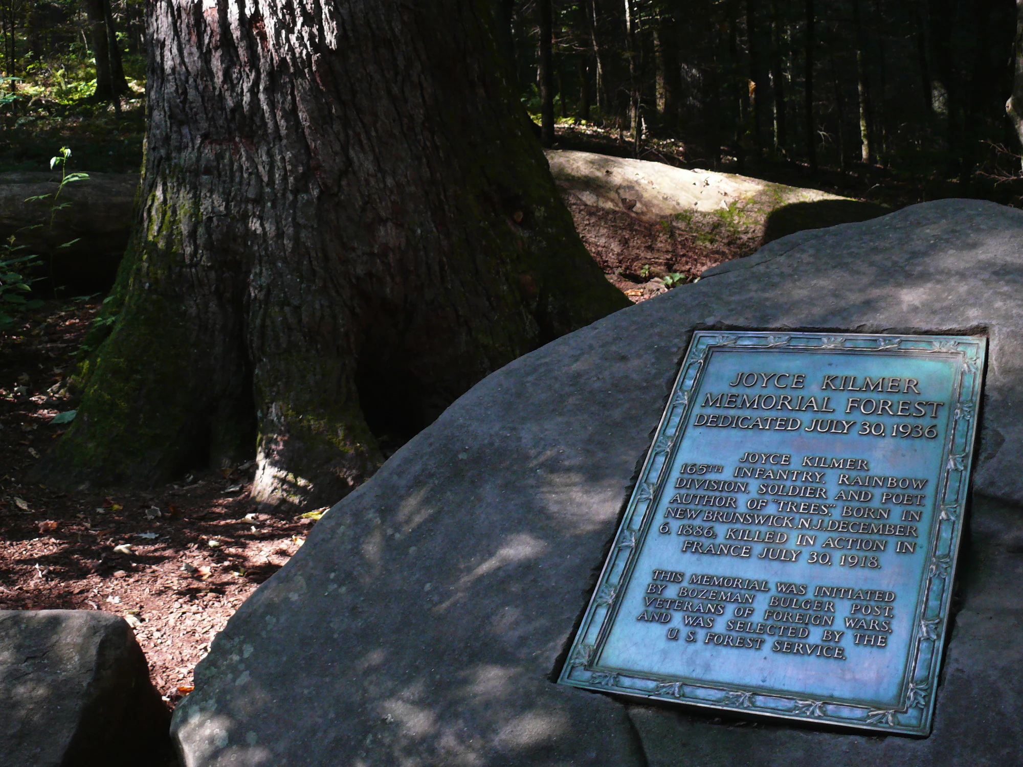 A bronze memorial plaque for Joyce Kilmer Memorial Forest, mounted on a large rock in a shaded forest setting.