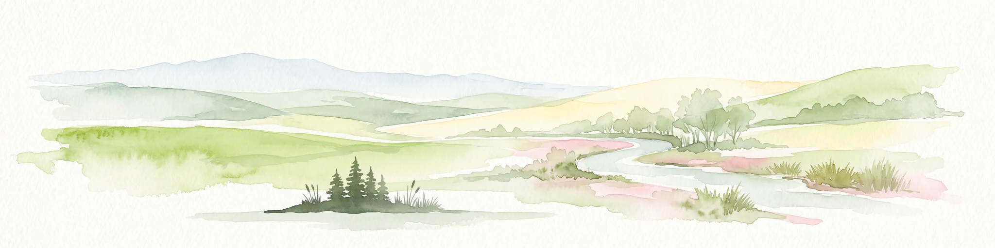 Una suave ilustración en acuarela de un arroyo serpenteante que fluye a través de un prado verde con colinas onduladas al fondo y un pequeño grupo de pinos en primer plano.