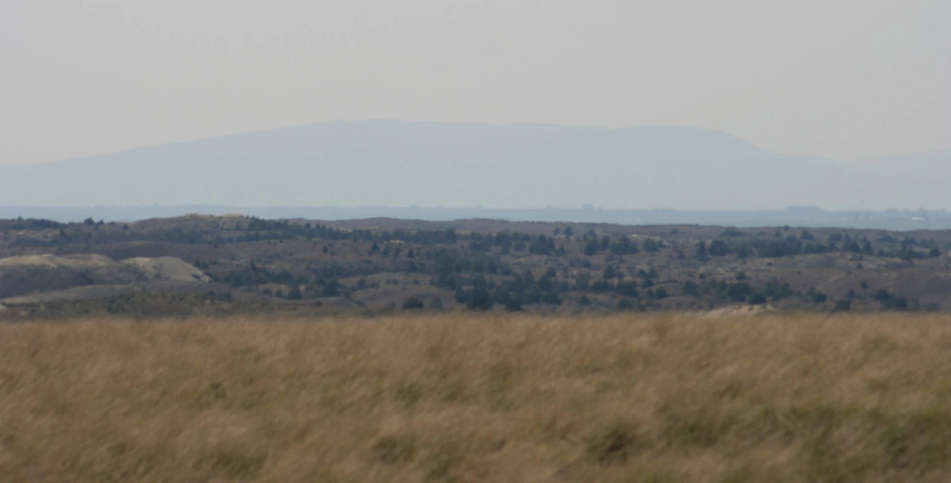 A wide landscape view of sand dunes and scattered vegetation under a hazy, overcast sky.