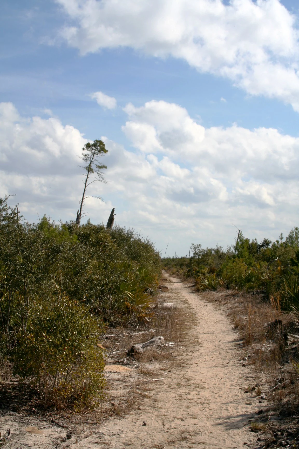 A narrow, light-colored dirt trail leads through low-lying scrub brush and sparse trees under a blue sky with scattered clouds.