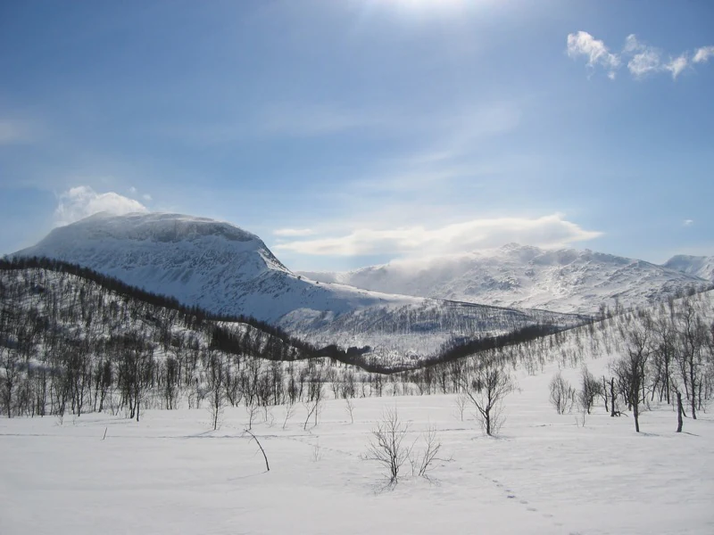 Snow-covered mountains with sparse trees in a landscape under a clear blue sky.