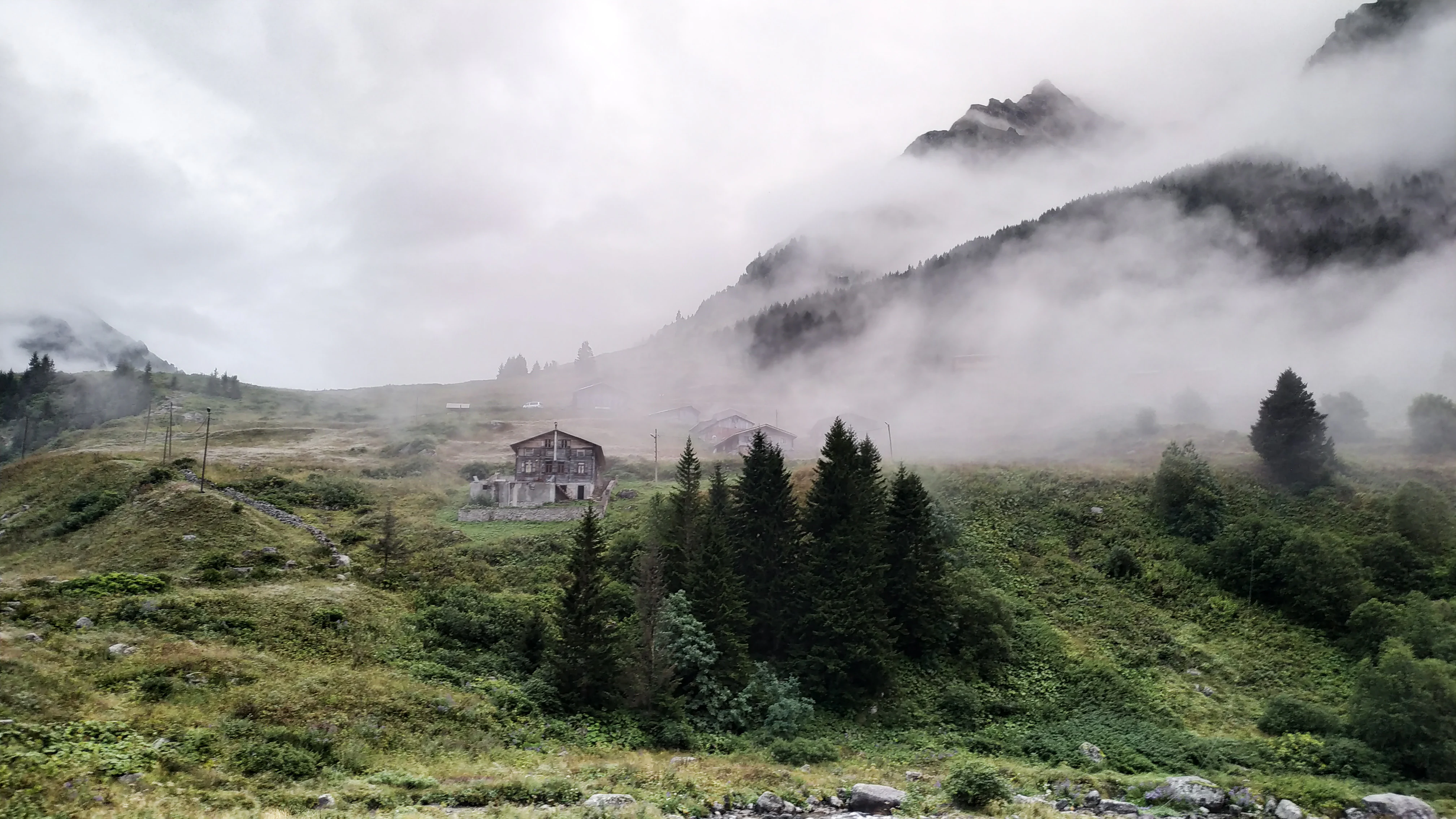 Misty landscape with grassy hills, scattered trees, and a building in the midground, with mountains partially obscured by fog
