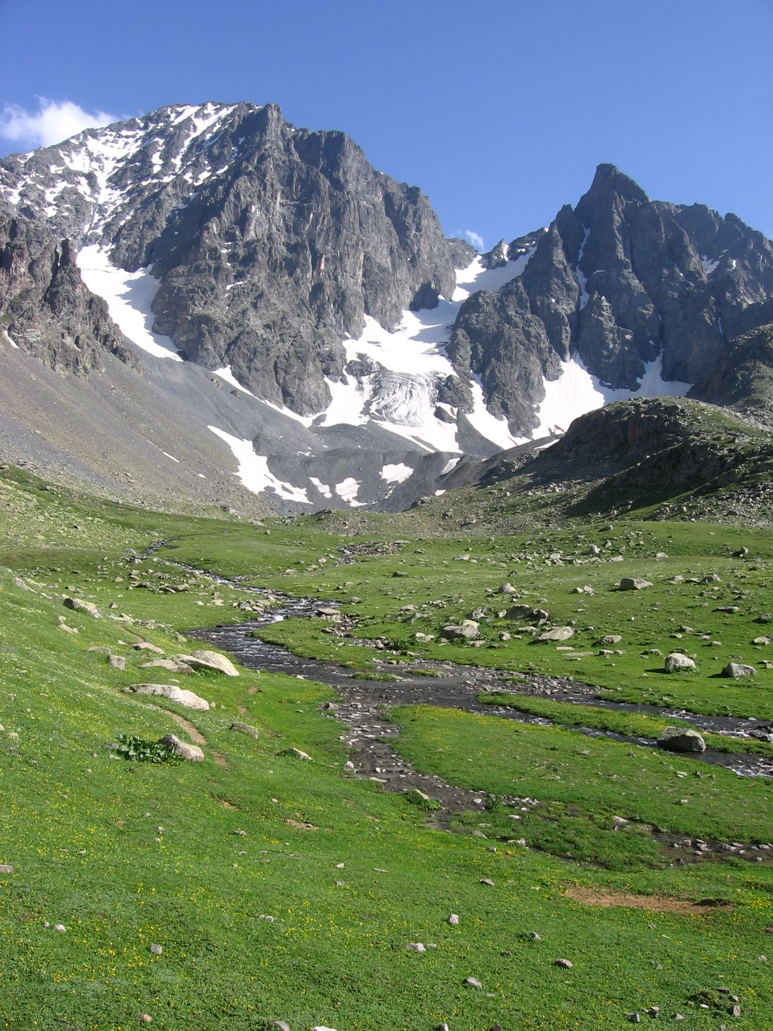 Grassy valley with a stream flowing through rocky terrain toward snow-covered mountain peaks under a clear blue sky