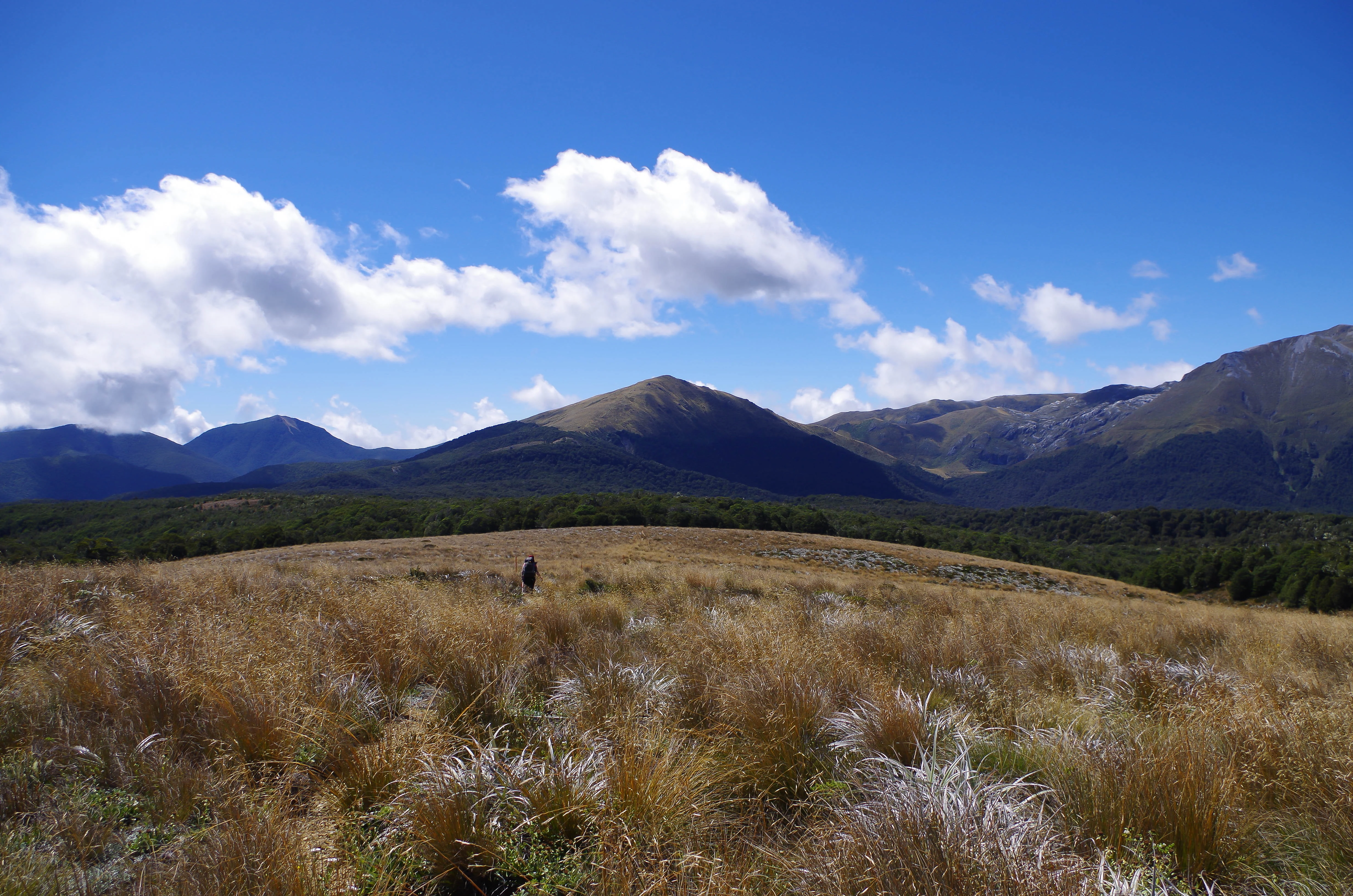 Una vista panorámica de la montaña Gordons Pyramid desde las Grass Tablelands, con un vasto campo de hierba bajo un cielo azul despejado con nubes dispersas y montañas distantes.