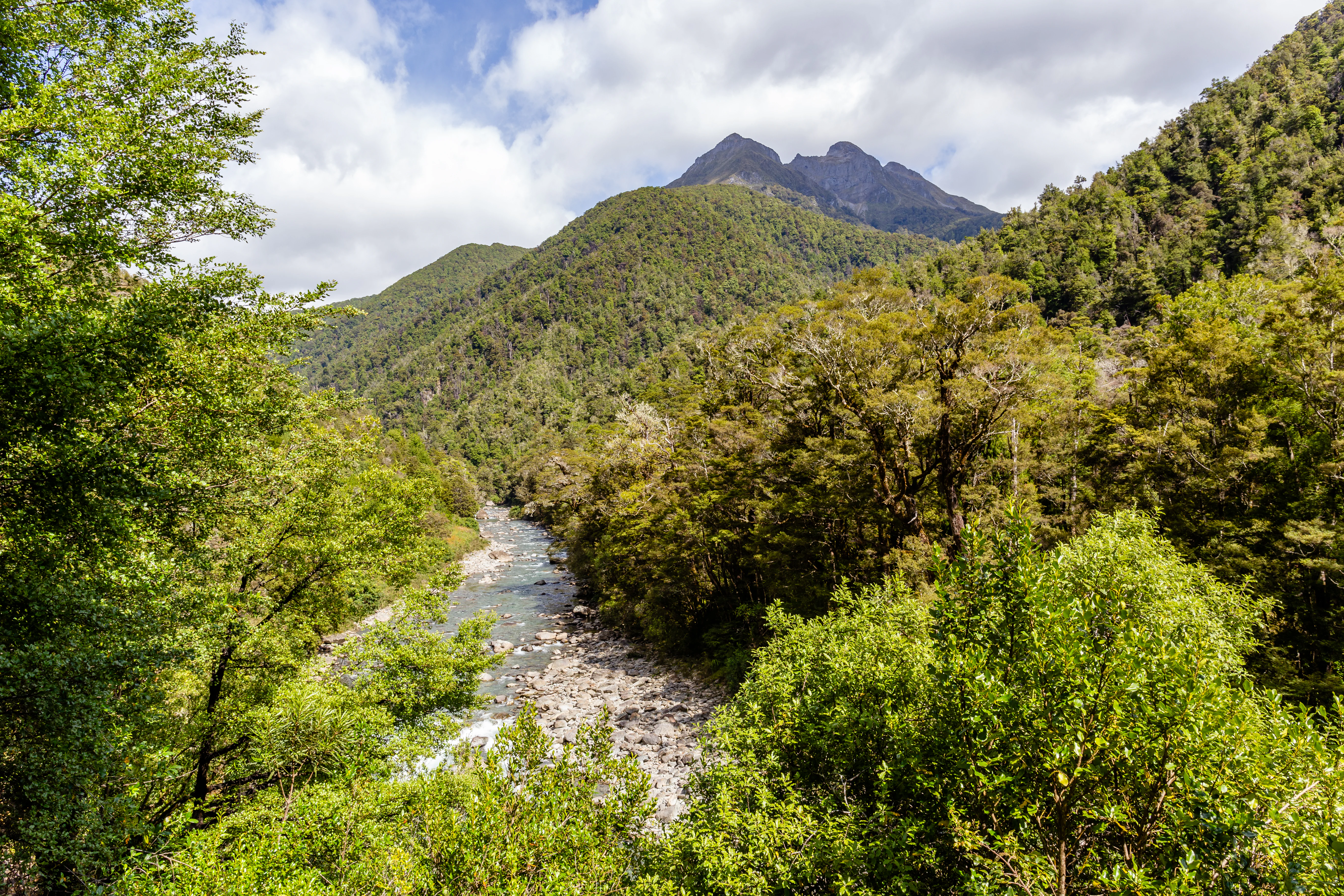 Río fluyendo a través de un denso bosque con montañas al fondo bajo un cielo parcialmente nublado