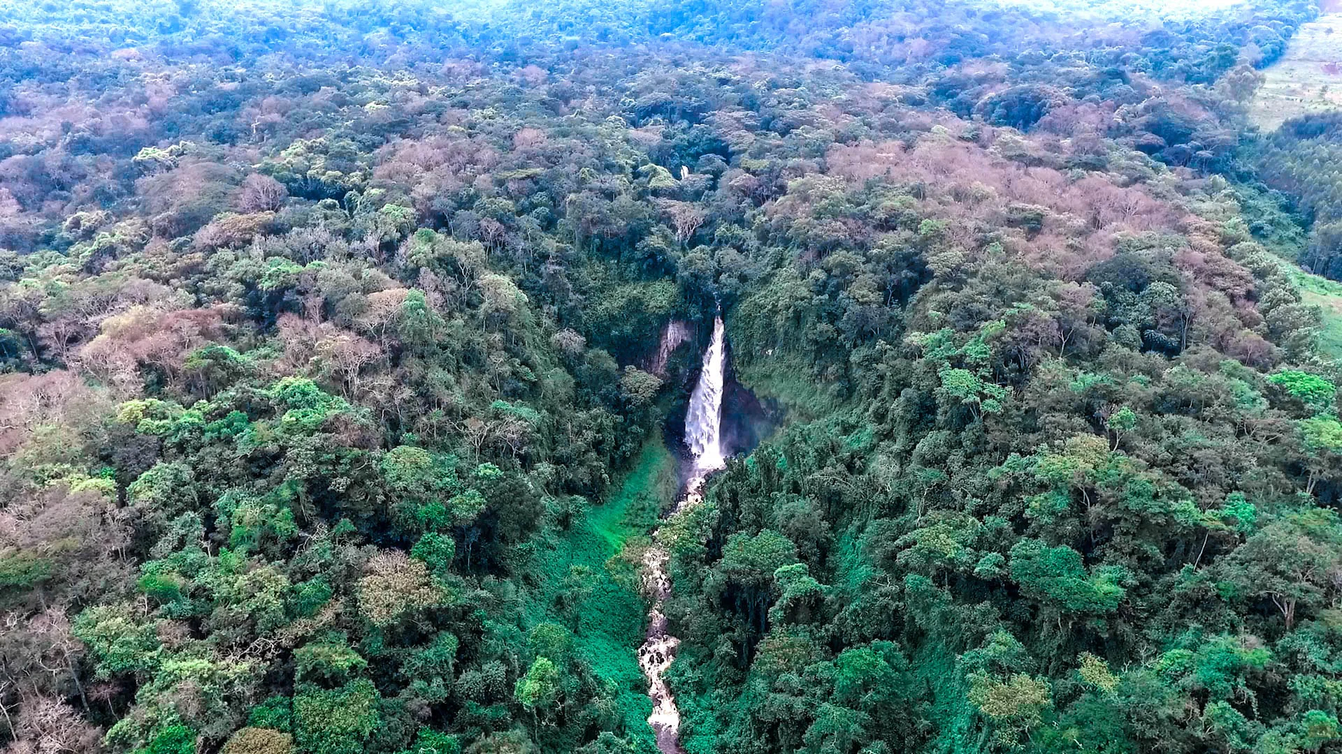 Vista aérea de una cascada rodeada de densa selva tropical