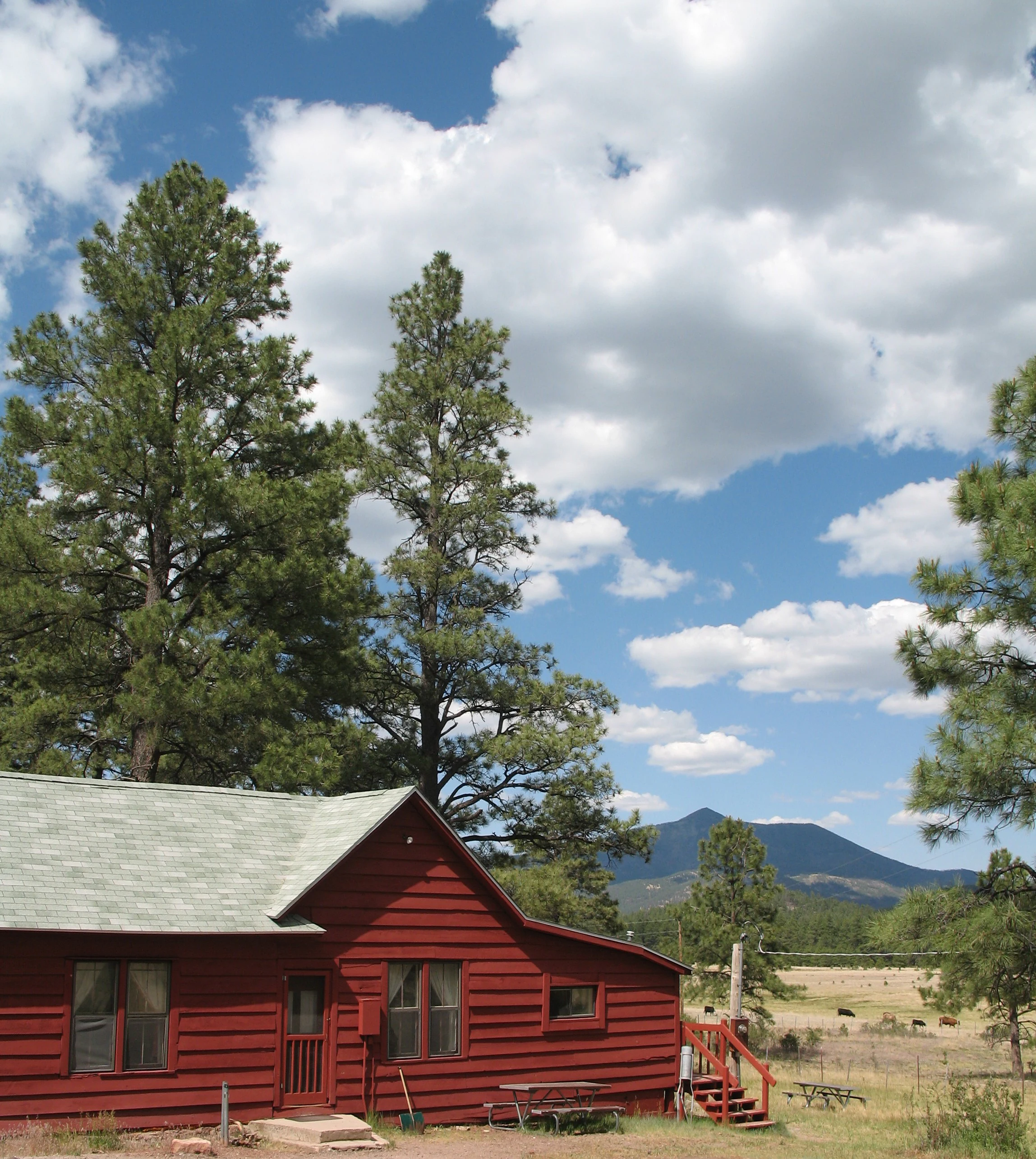 A red wooden historic cabin with a grey shingled roof surrounded by tall pine trees; a mountain peak is visible in the distant background under a blue sky with white clouds.