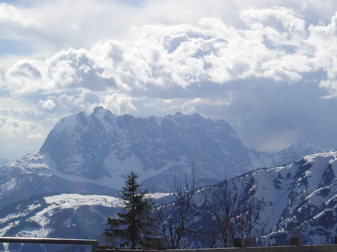 A wide, panoramic view of snow-dusted limestone mountain peaks under a cloudy, bright sky, seen from a higher elevation with a coniferous tree in the foreground.