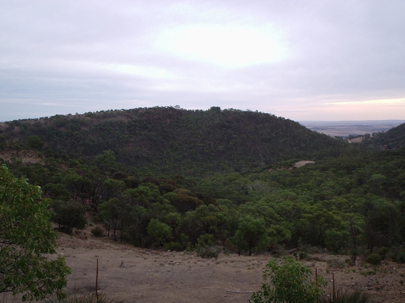 A landscape shot of rolling, tree-covered hills under a soft, overcast sky, with dry, open ground in the immediate foreground.