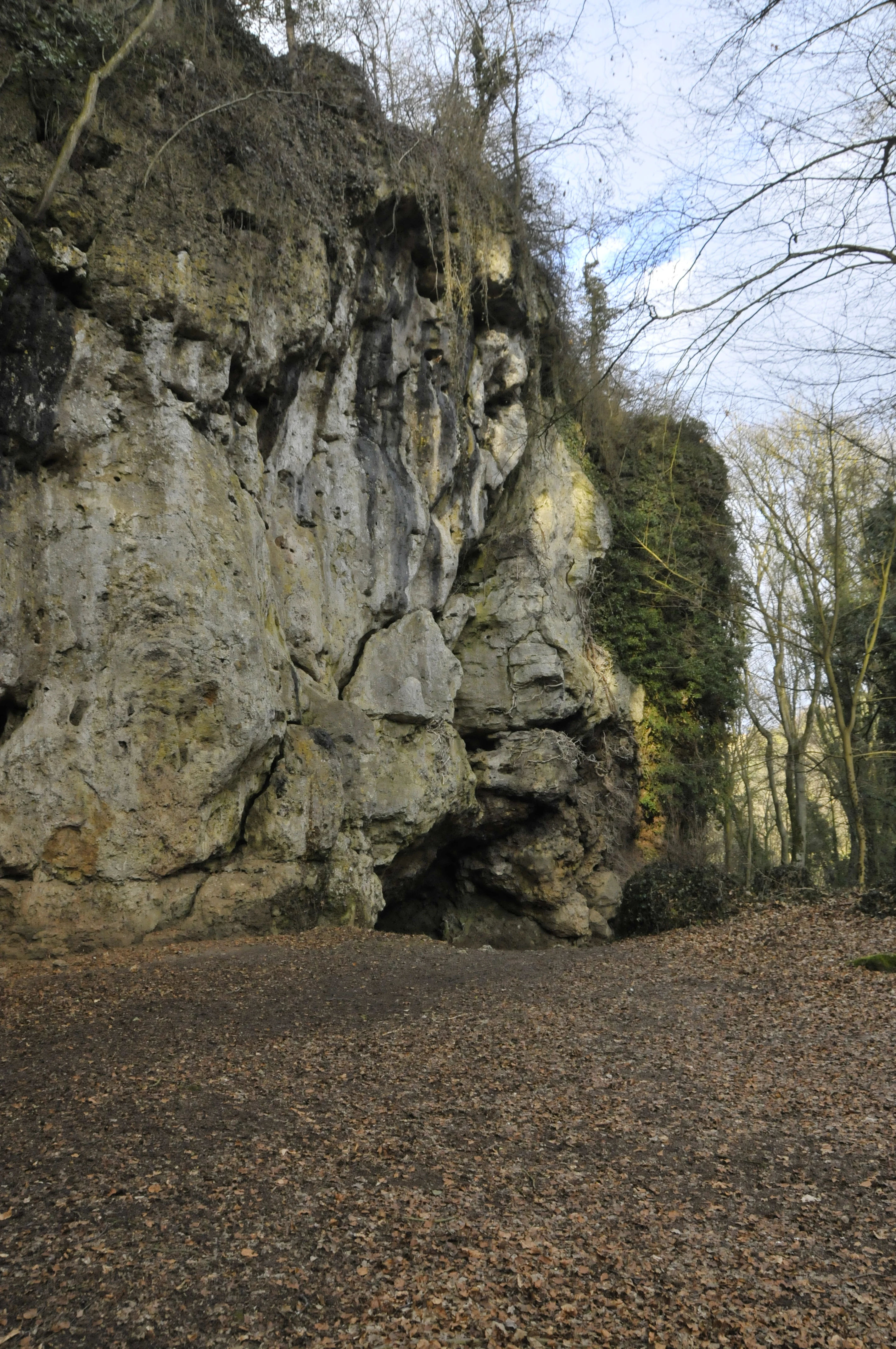 Una fotografía gran angular de una gran entrada de cueva natural incrustada en un acantilado de piedra caliza, rodeada de árboles desnudos a finales de otoño o en invierno.