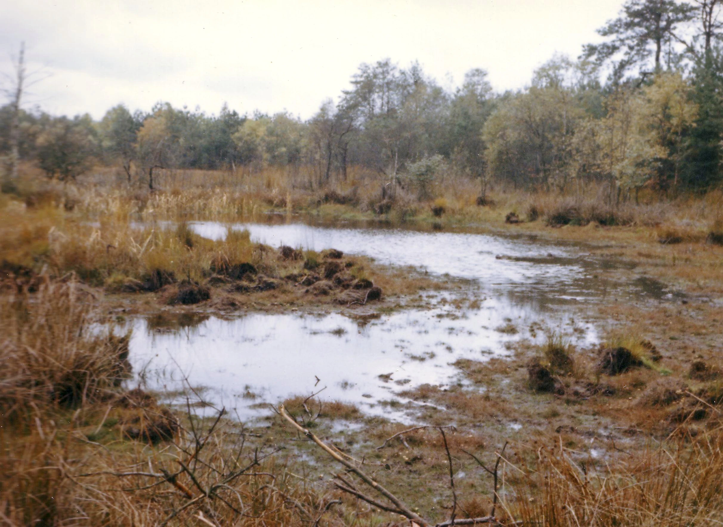 Kempkes Venn Raised Bog
