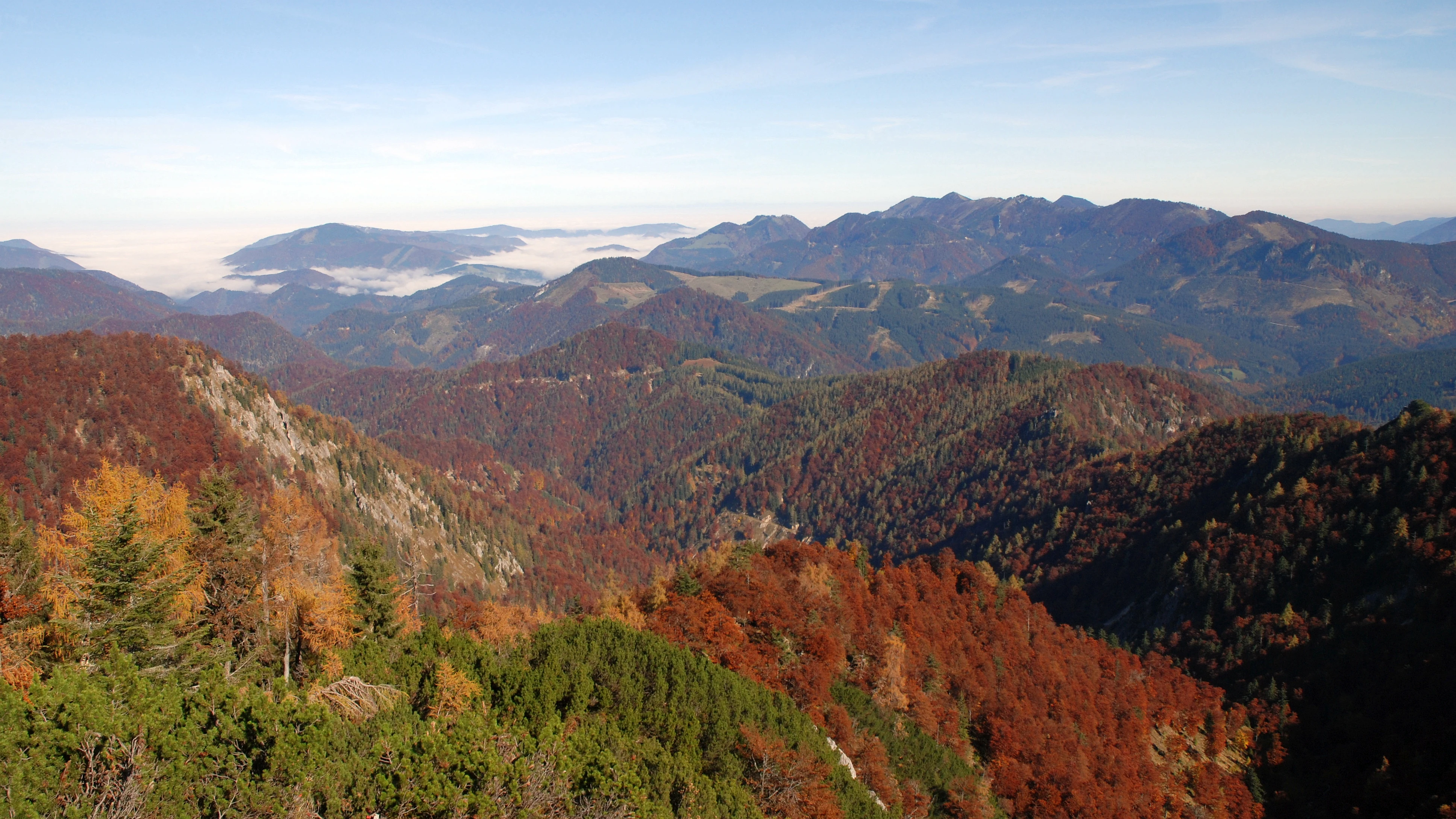 Panoramic view of mountainous terrain with autumn-colored trees, green conifers, and distant mountain ranges under a clear sky