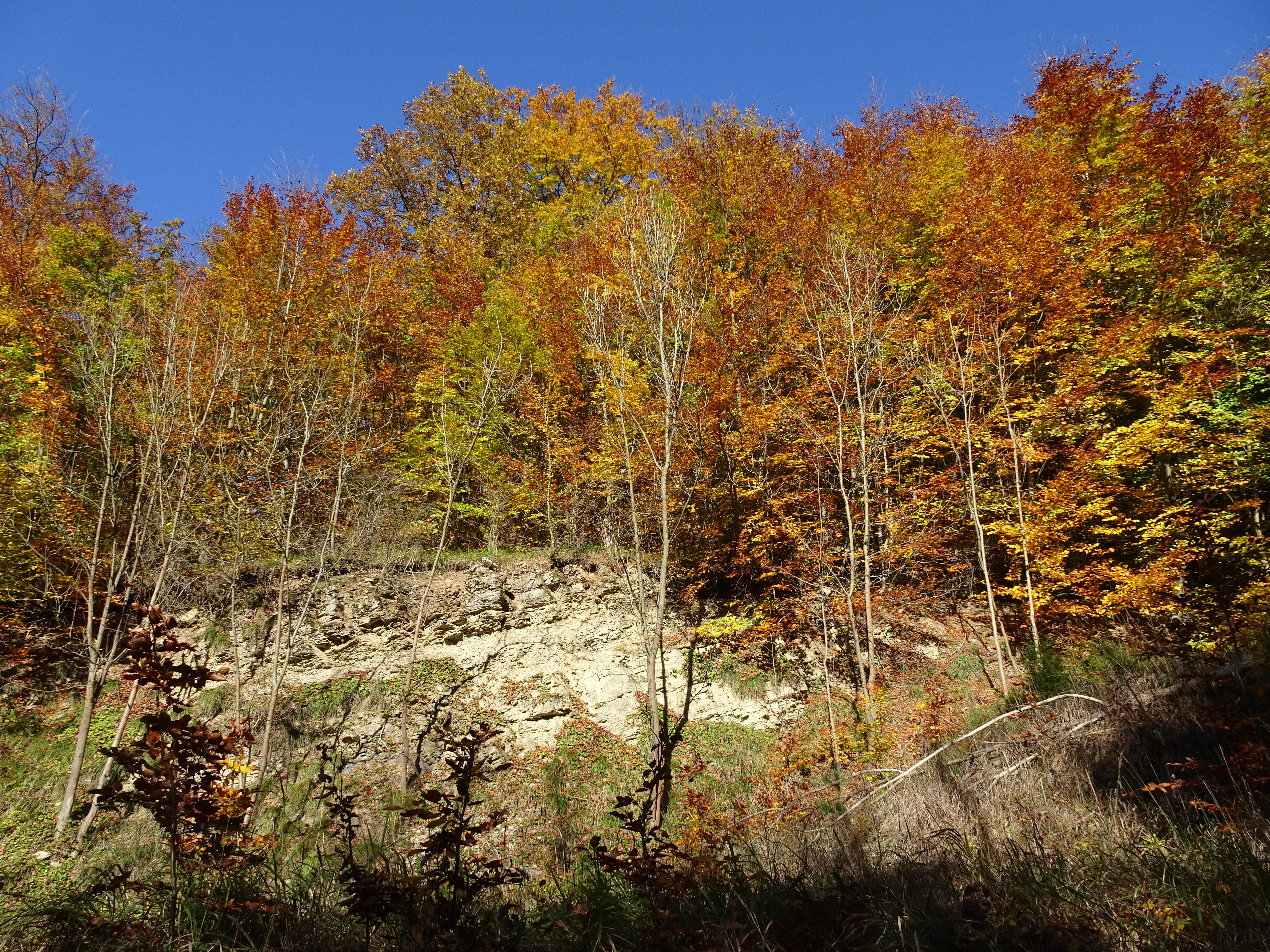 Kalkklippen sudlich des Iberges nature reserve