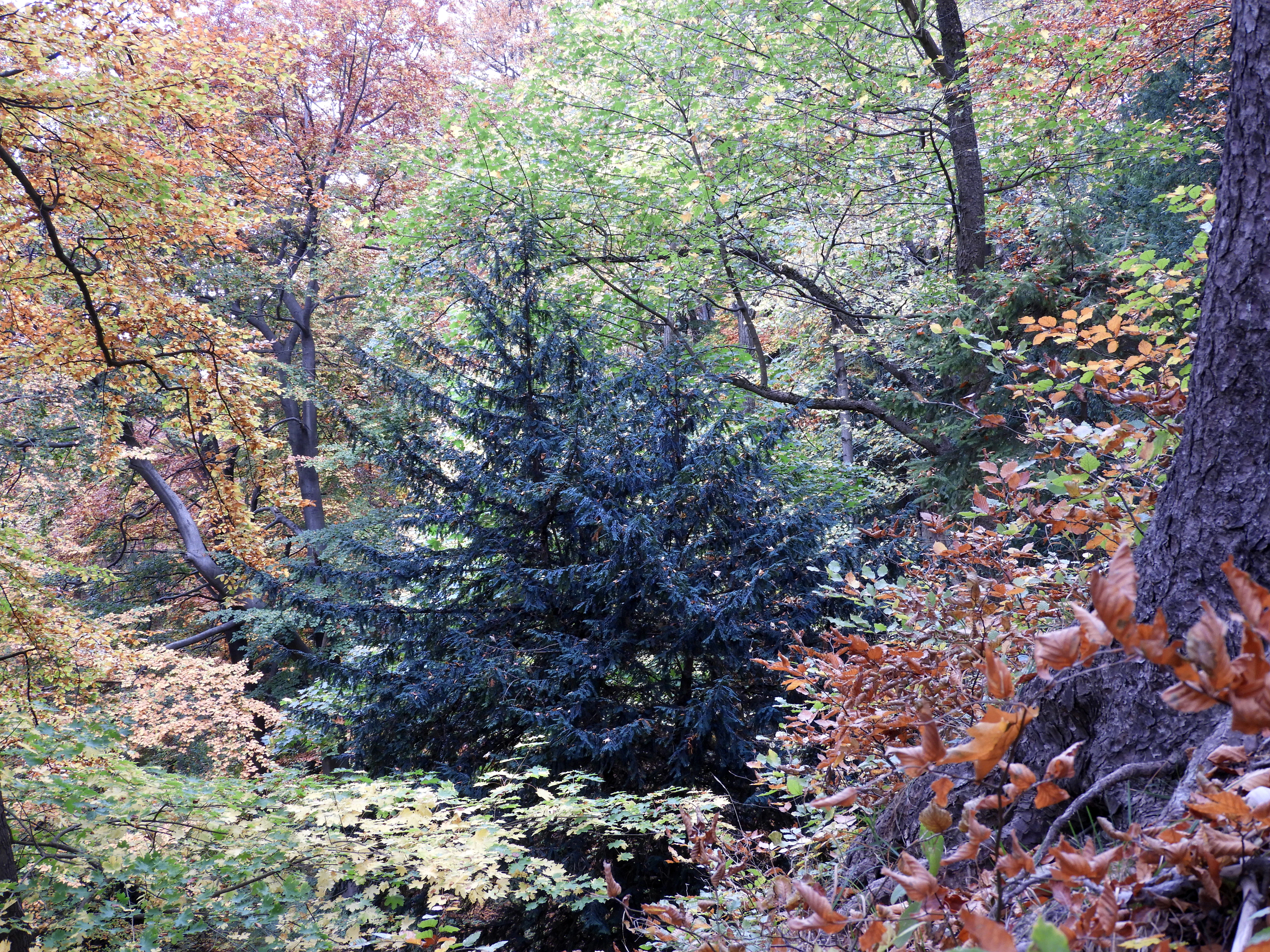 Kalkklippen sudlich des Iberges nature reserve