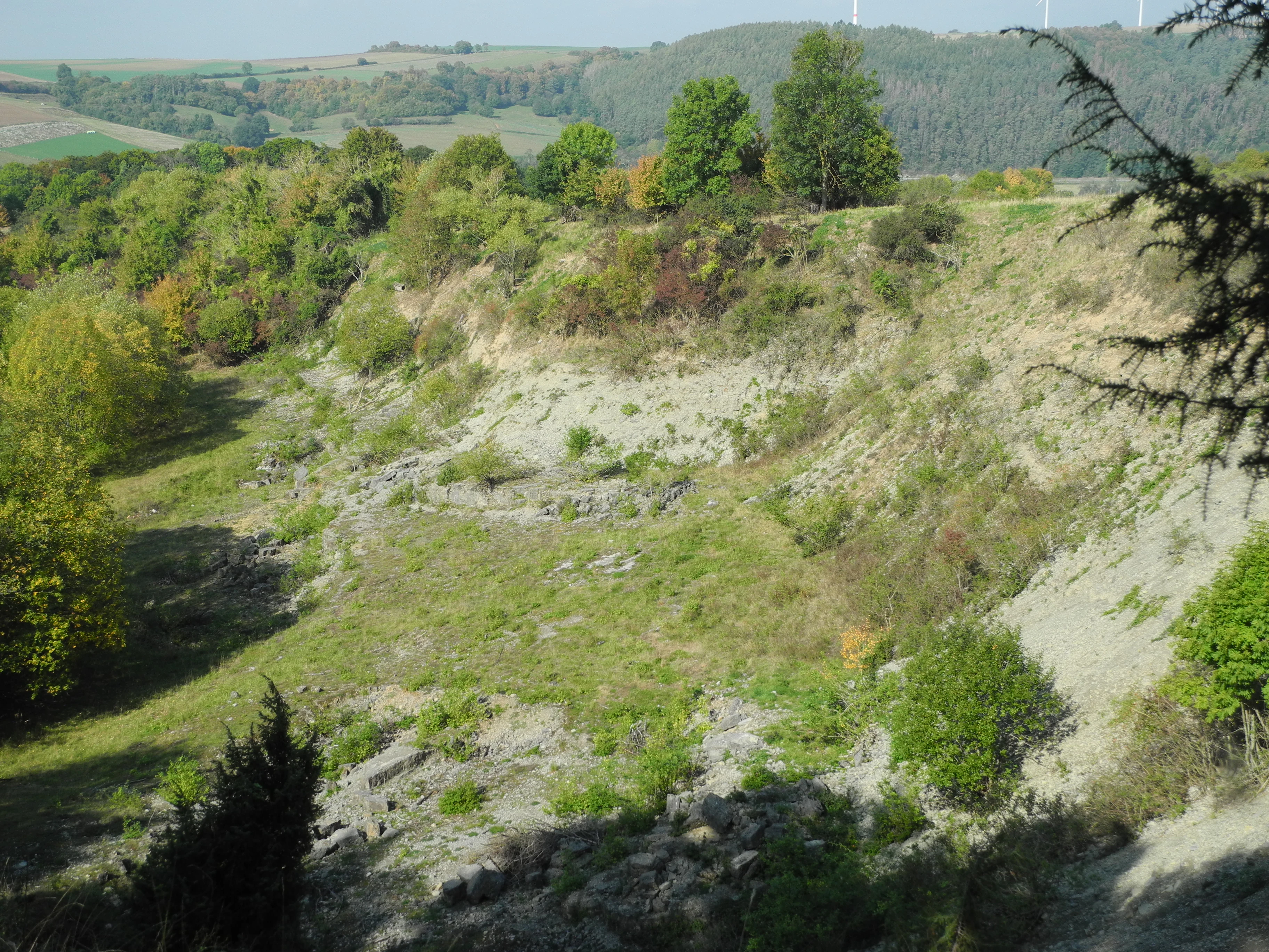 A wide angle landscape view of a former quarry with sparse grassy vegetation, scattered shrubs, and a forested backdrop under a clear sky.