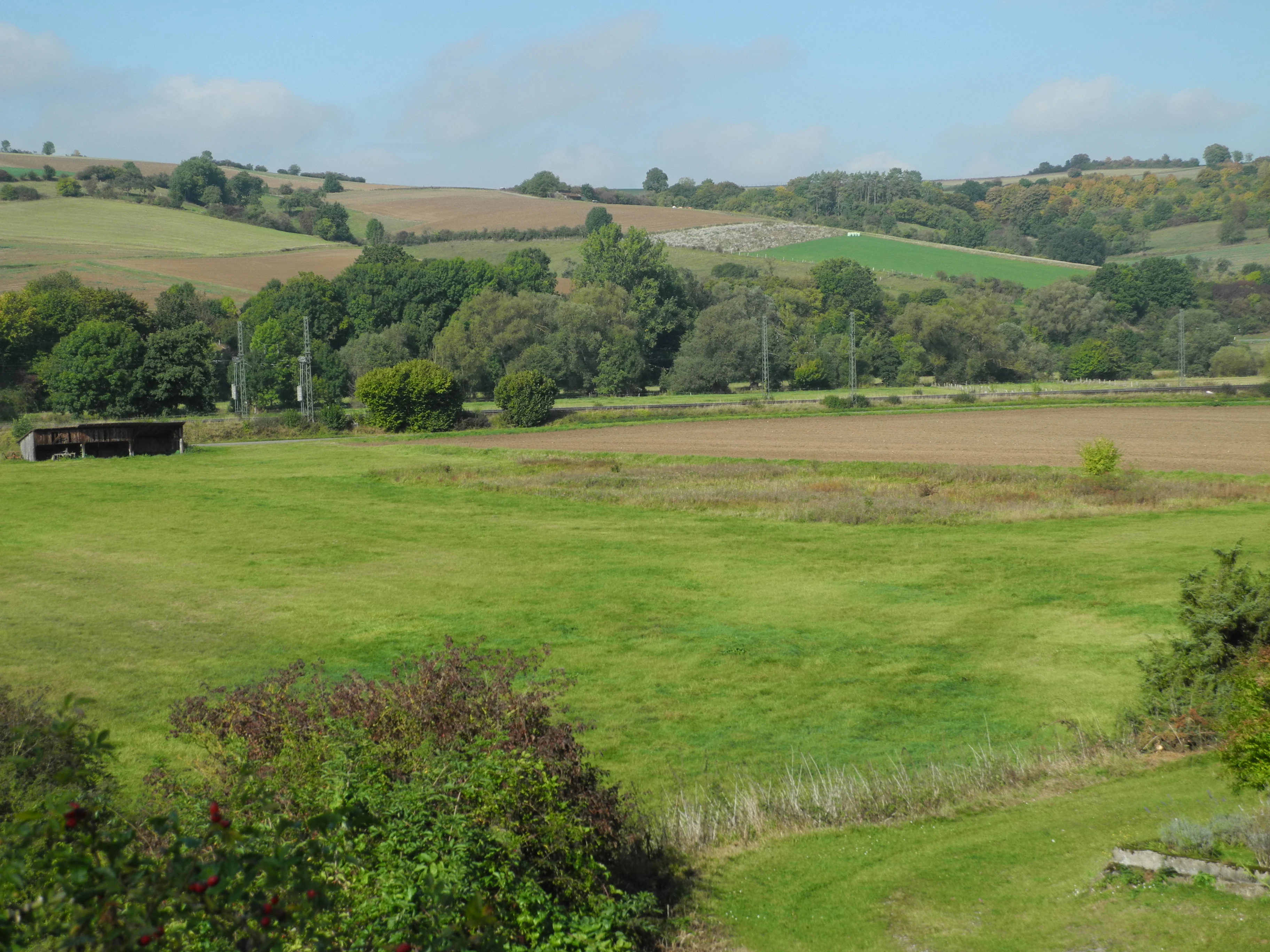 A wide view of a rural landscape with open green fields in the foreground, a line of trees, and rolling hills in the background under a blue sky.