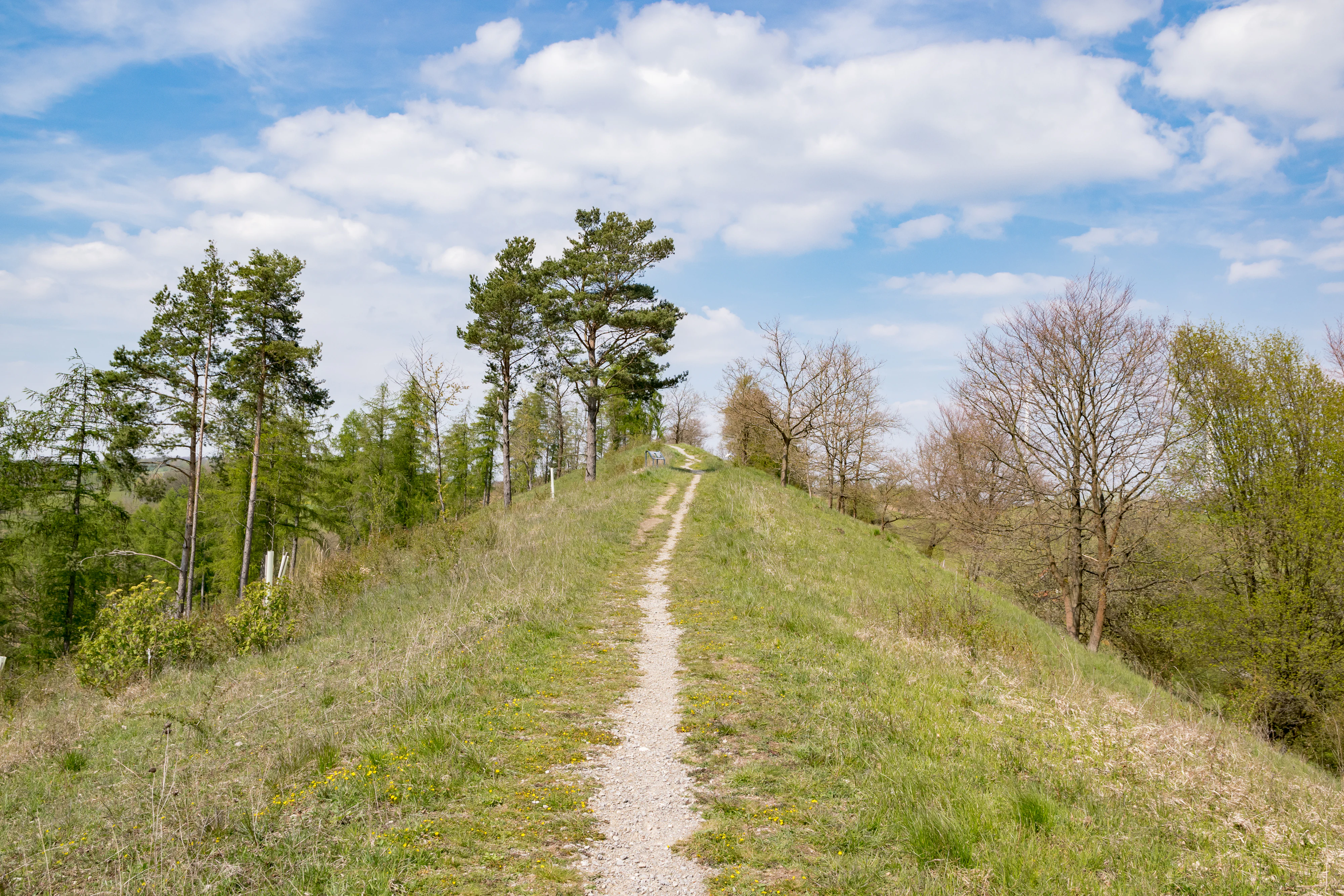 A narrow dirt trail leads up a grassy, sloped hill ridge with scattered trees against a bright, partly cloudy blue sky.