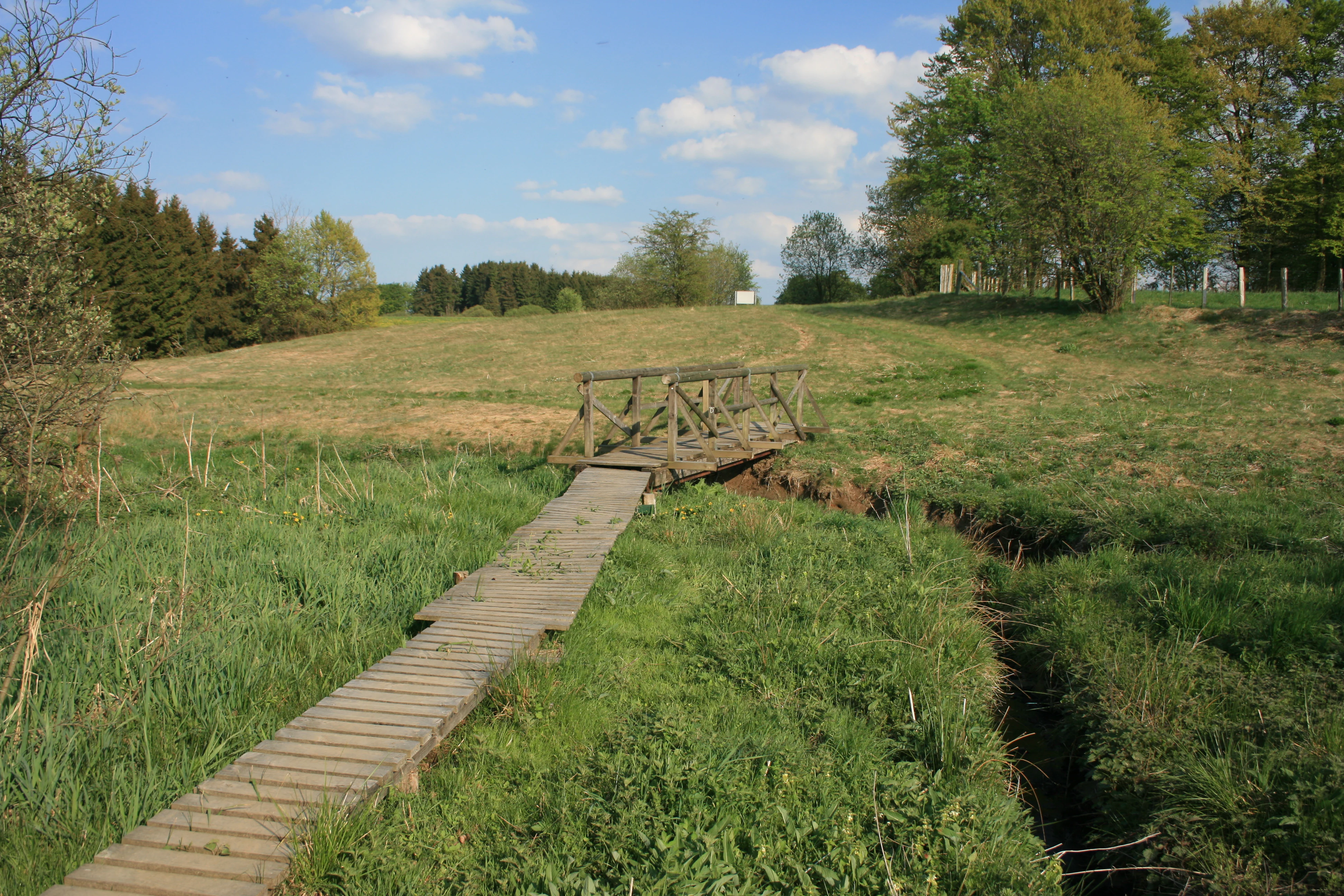A wooden footbridge and boardwalk crossing over a narrow stream through a grassy meadow.