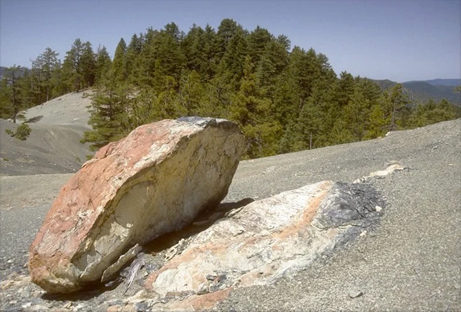 A large, weathered boulder rests on a sparse, light-colored rocky slope in front of a dense coniferous forest under a clear sky.