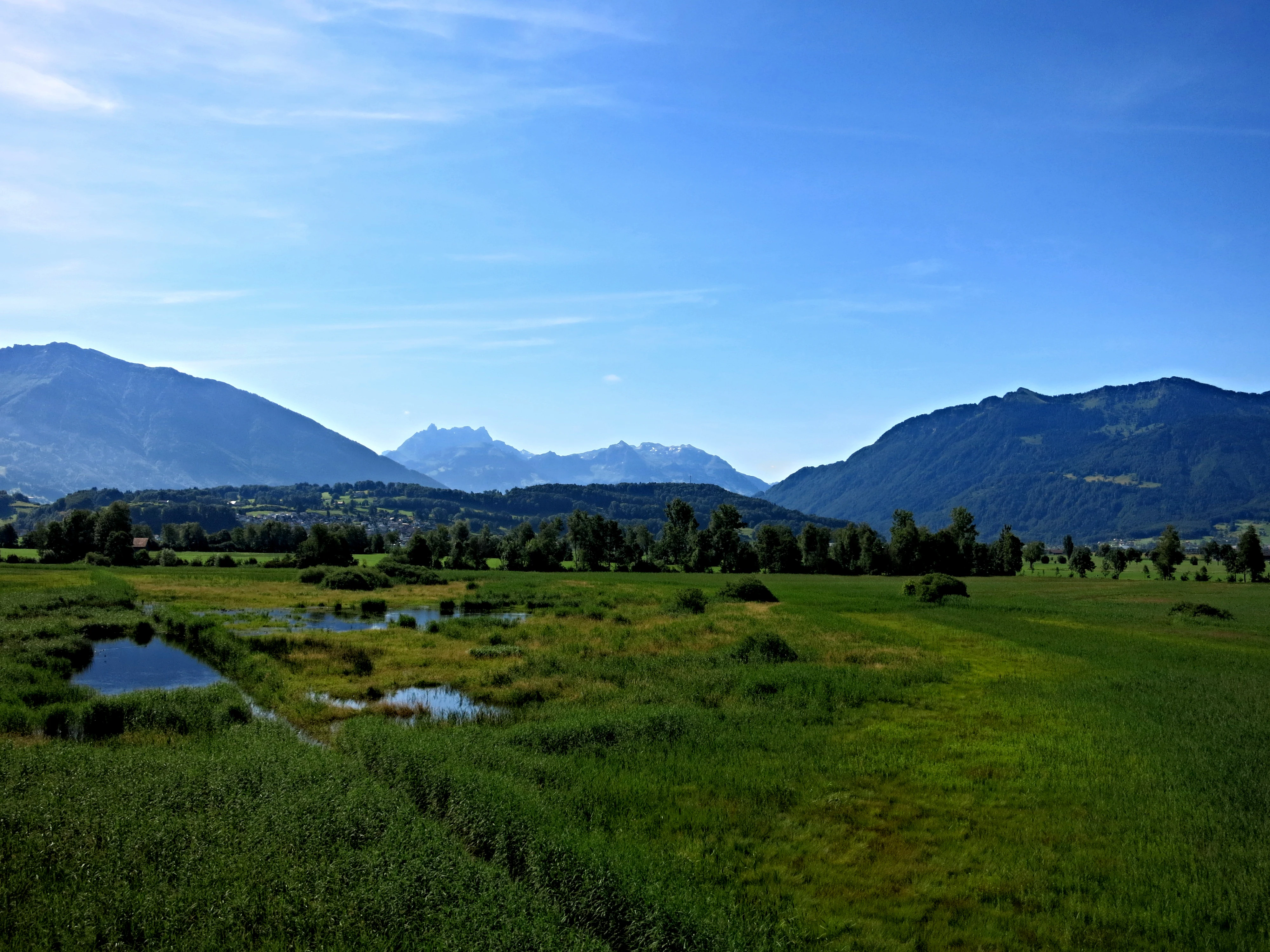 Wide angle view of a lush green wetland landscape with small pools of water, a treeline in the midground, and mountain ranges in the distance under a clear blue sky.