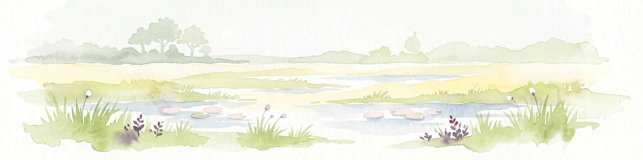 Una ilustración horizontal en acuarela que muestra un paisaje de marisma o pantano tranquilo con pequeñas charcas de agua, manchas de hierba verde y árboles bajos a lo lejos.