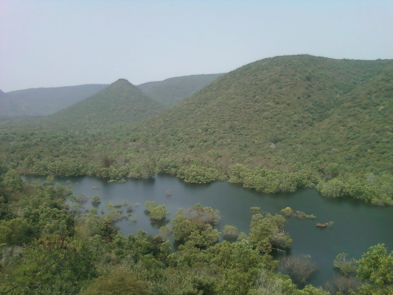 A wide, slightly hazy aerial view of green, forested rolling hills surrounding a calm, dark-colored lake or pond in a wildlife sanctuary.