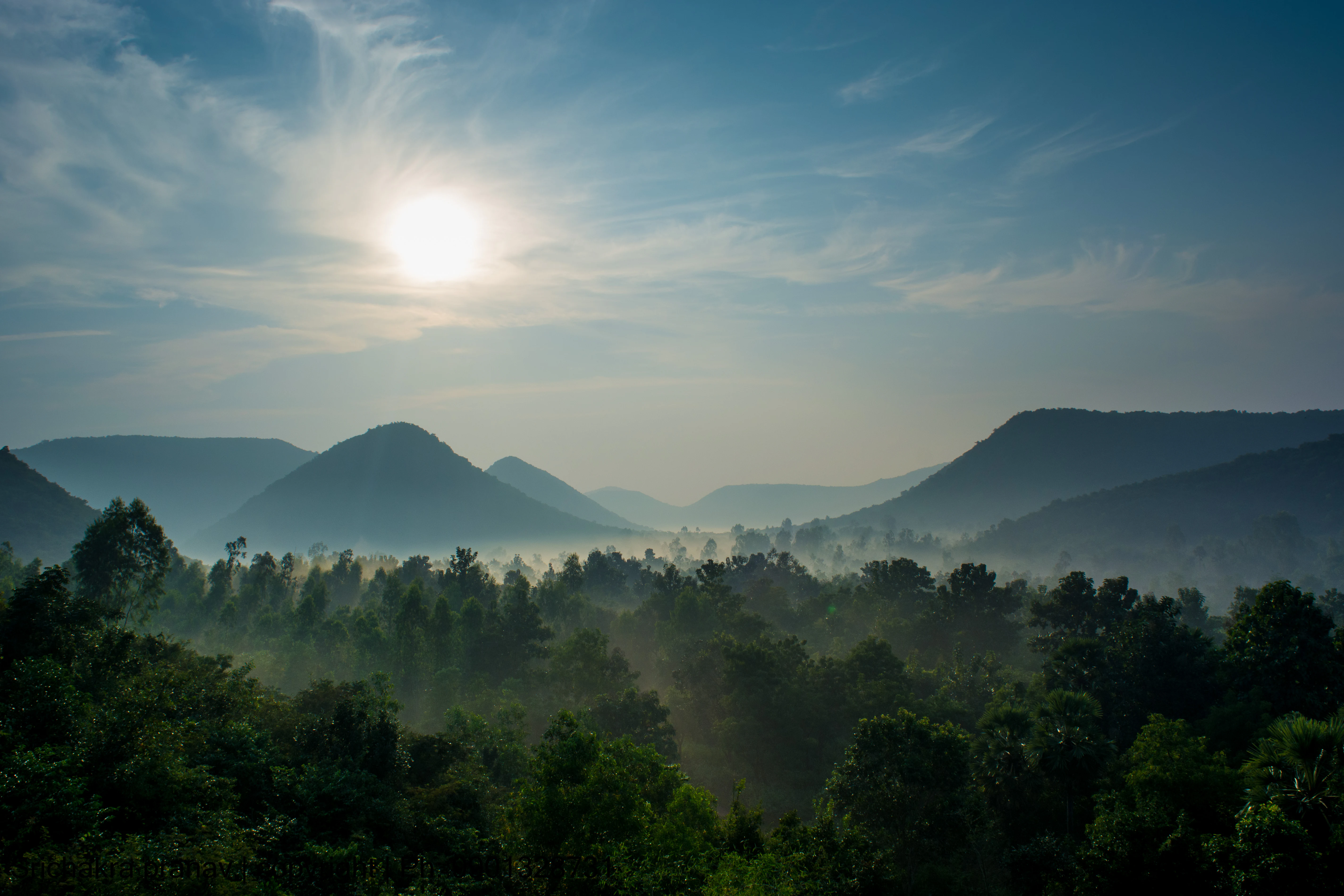 A scenic landscape view looking over a dense forest toward rolling hills under a bright, misty morning sky.