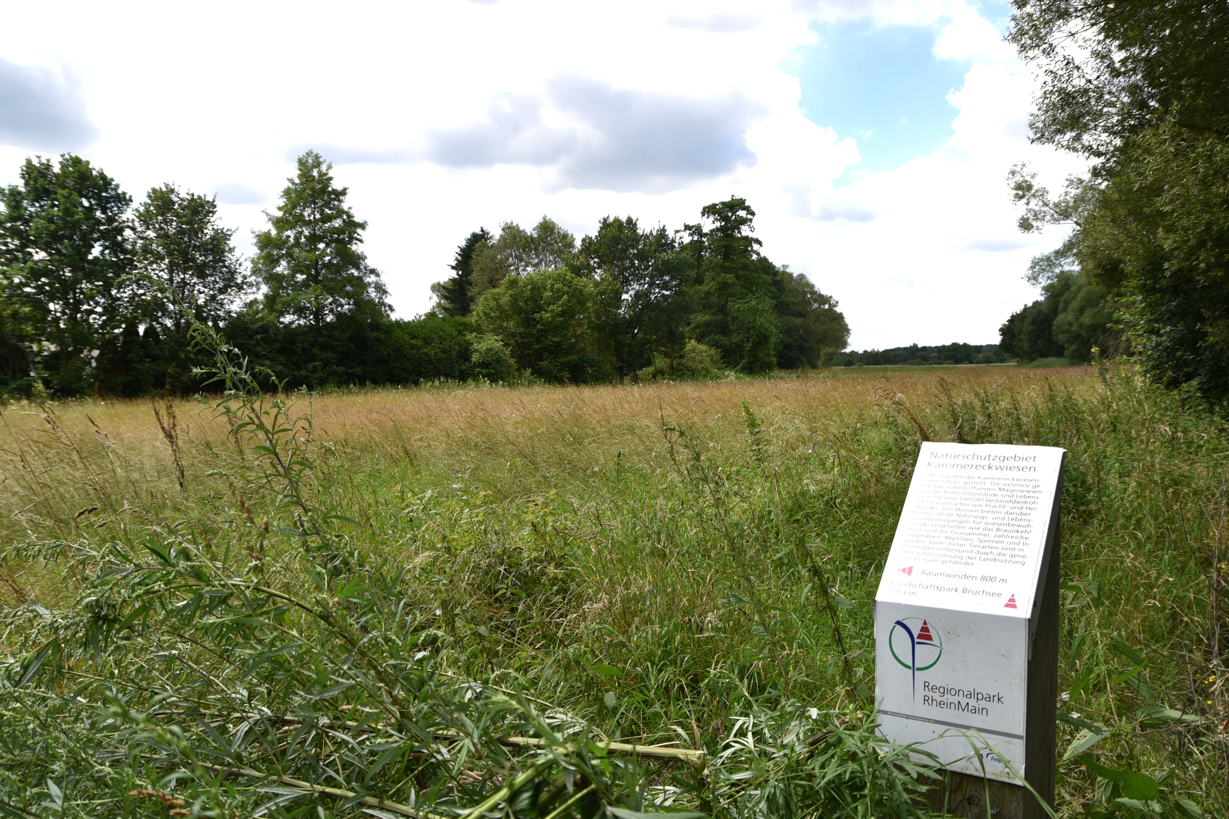 A white information sign stands in the foreground, with a grassy meadow and a line of trees in the background.