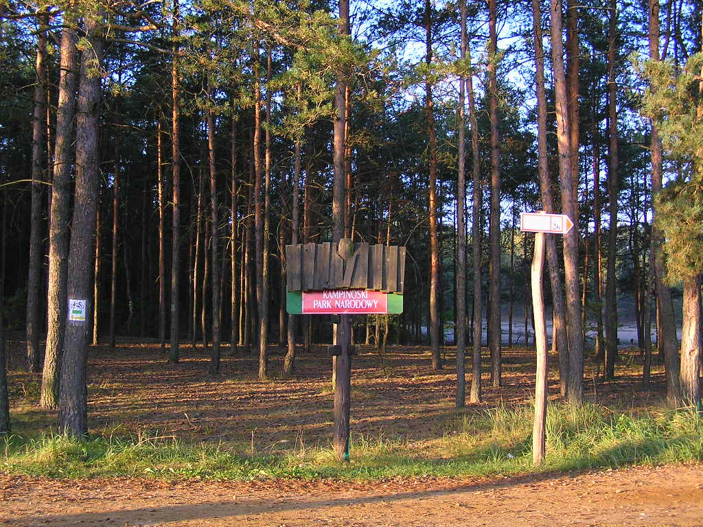 Un cartel de madera con el texto Kampinoski Park Narodowy fijado a un poste frente a un denso bosque de pinos, con un pequeño marcador de sendero en un árbol cercano.
