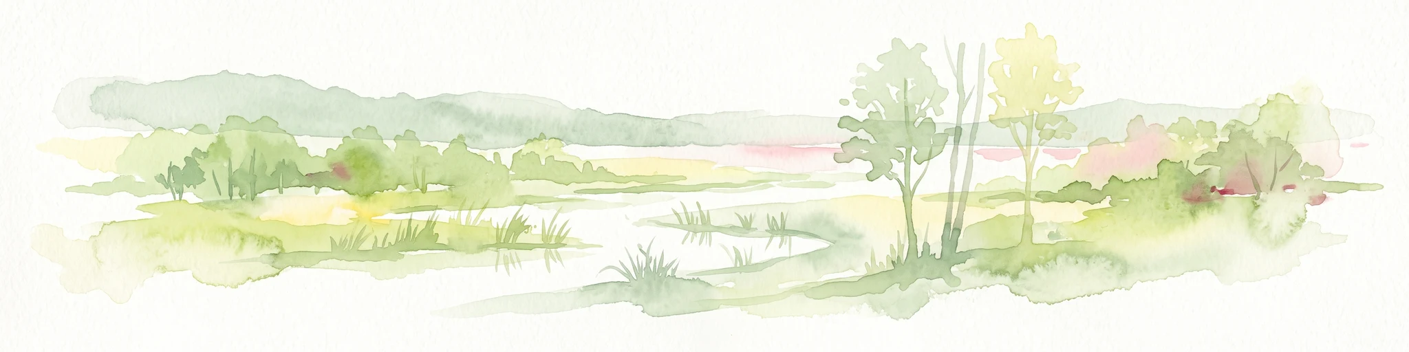 A soft watercolor illustration of a marshy landscape with low rolling hills, scattered trees, and a winding stream, rendered in light green and yellow tones on a white background.