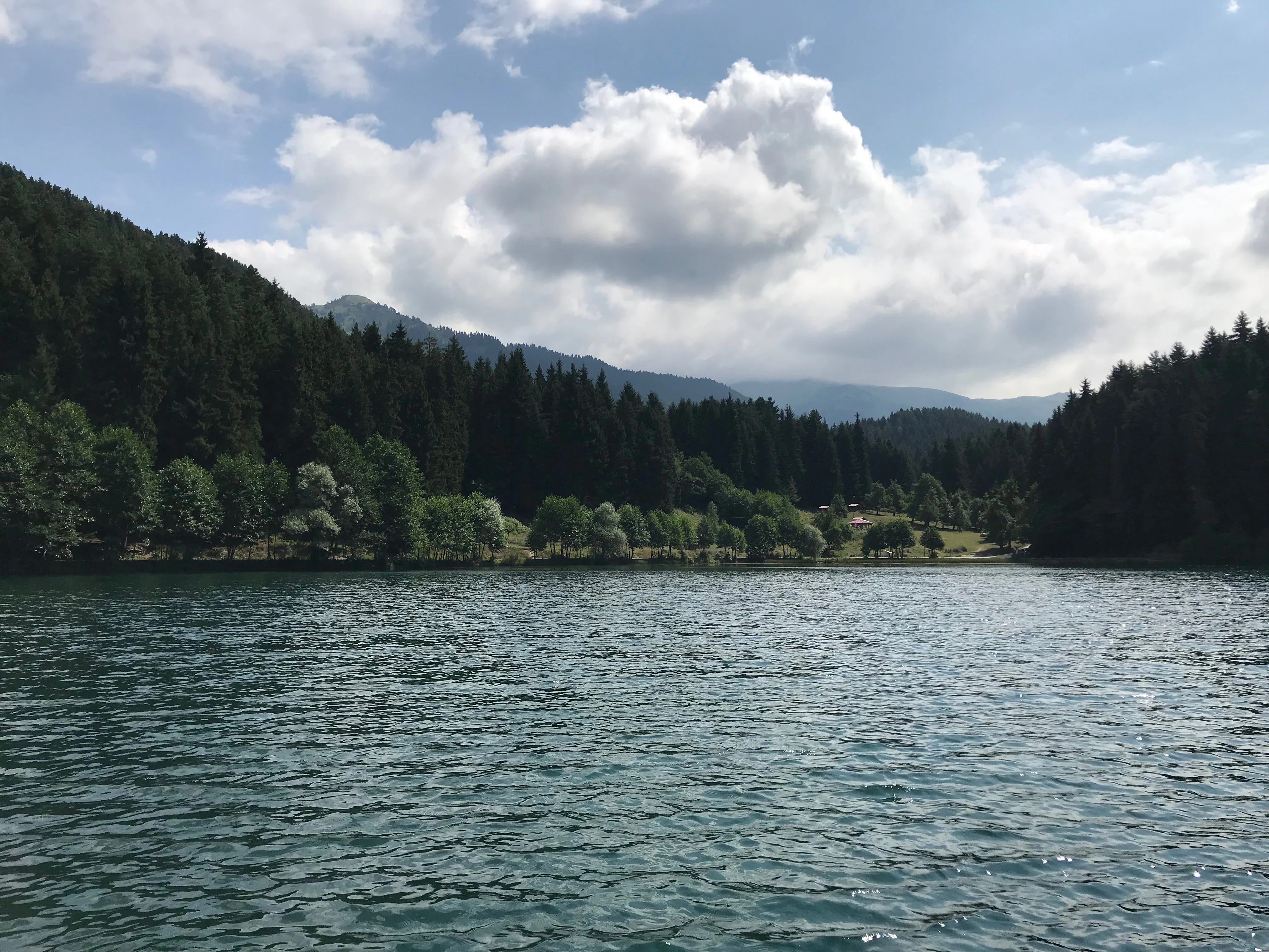 A large lake with calm blue water bordered by dense green forests and distant mountains under a partly cloudy sky