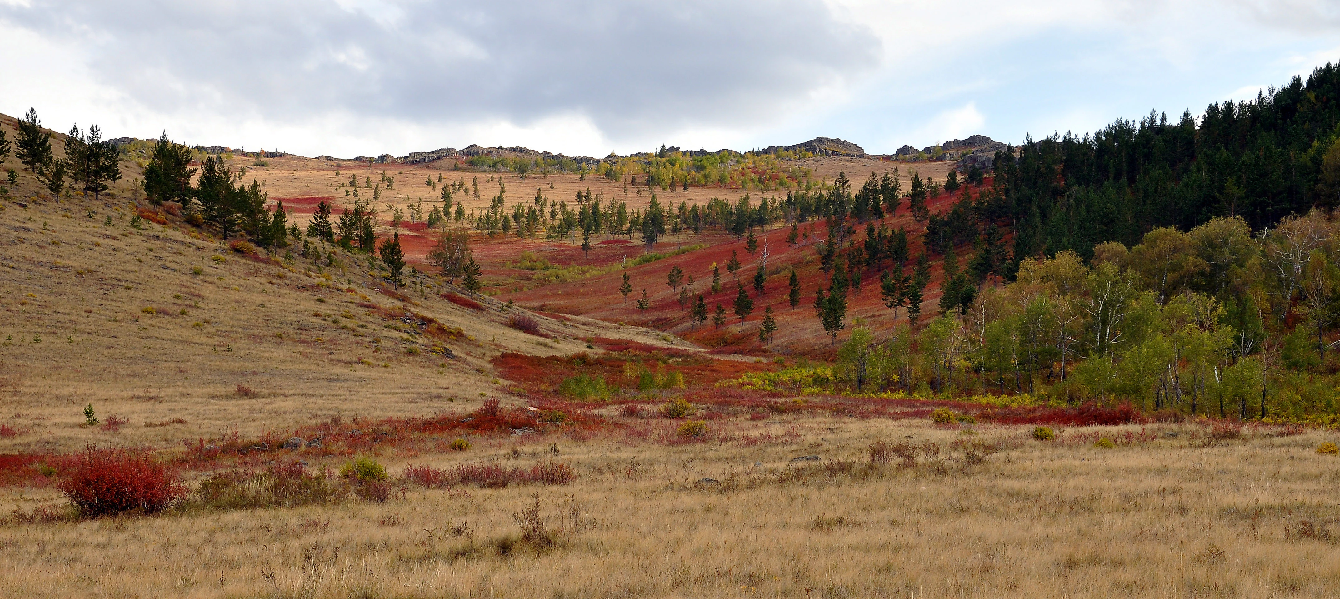 Rolling hills with patches of forest and varied vegetation under a partly cloudy sky