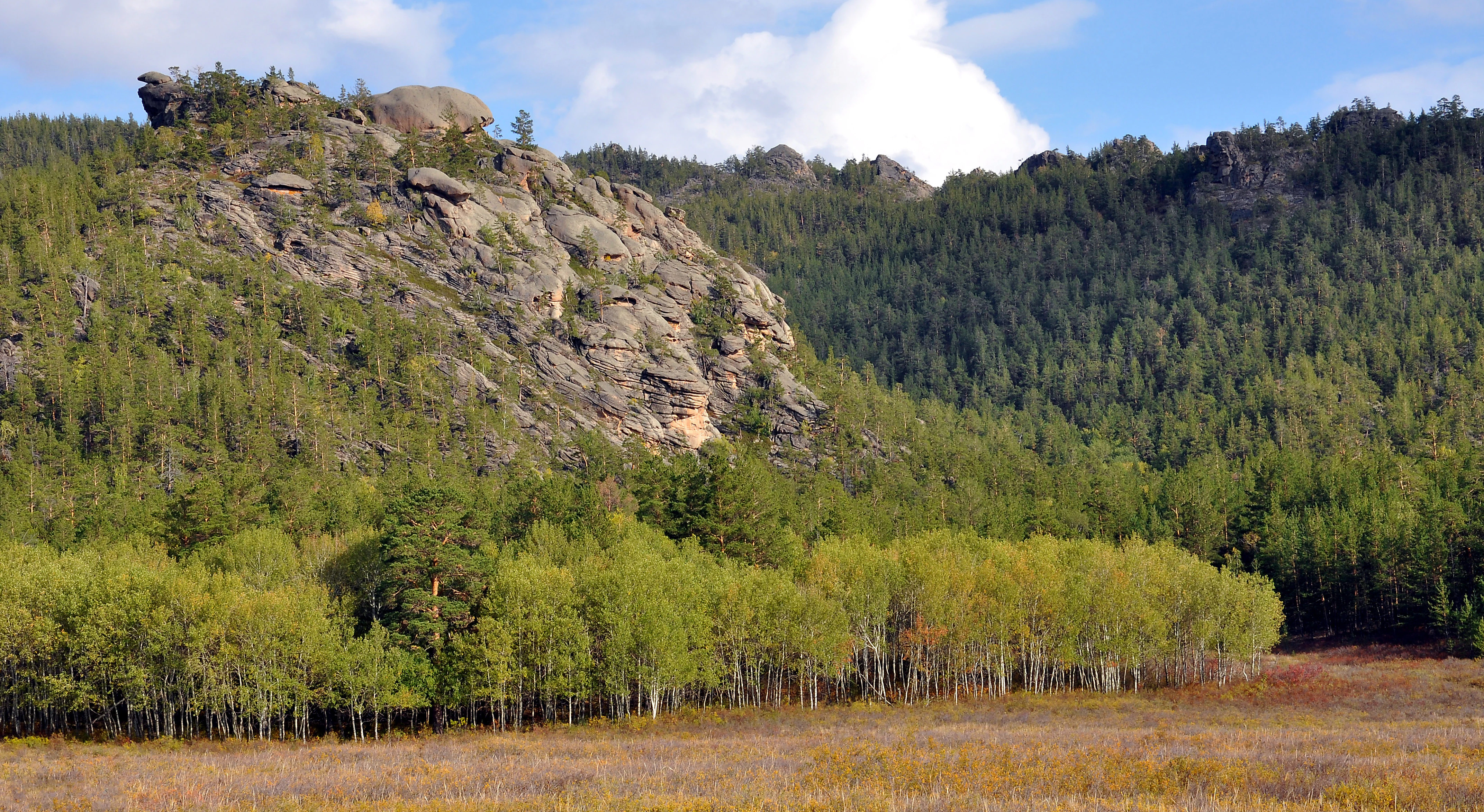 A wide view of rocky mountains with forested slopes and a meadow under a partly cloudy sky