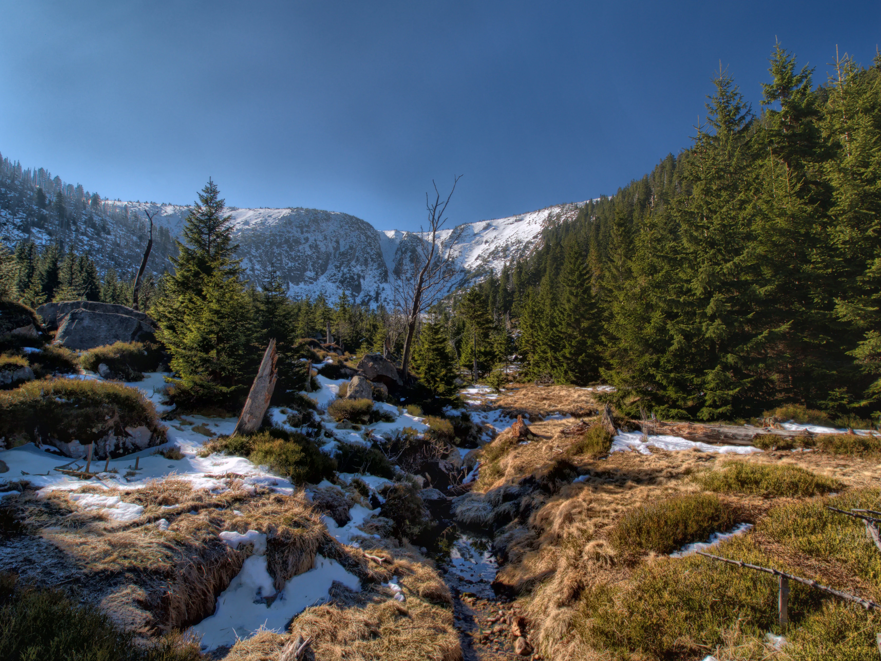 Mountain landscape with patches of snow on rocky terrain, surrounded by evergreen trees, with snow-capped mountains in the background under a clear blue sky