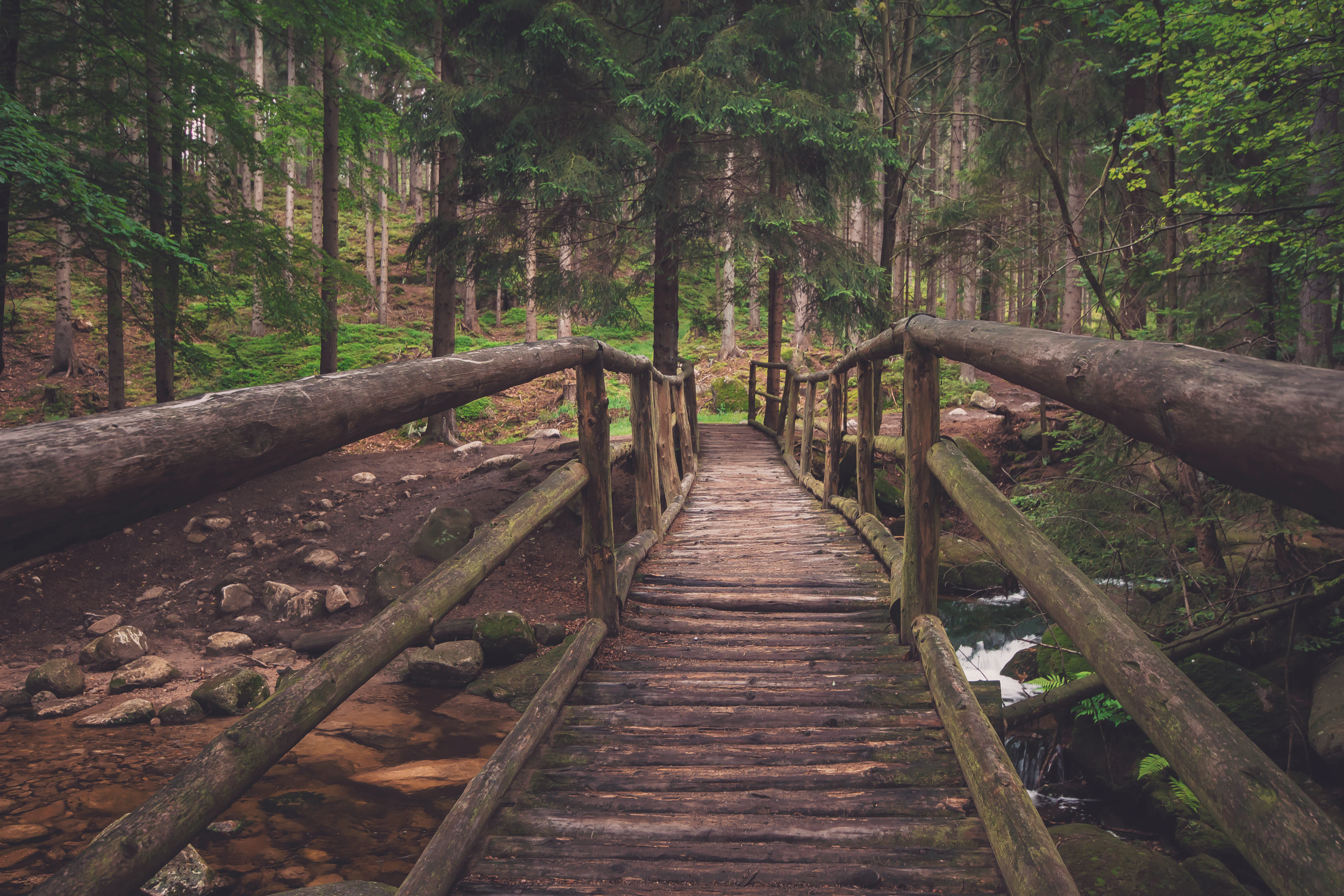 Wooden footbridge with railings crossing over a stream in a forested area