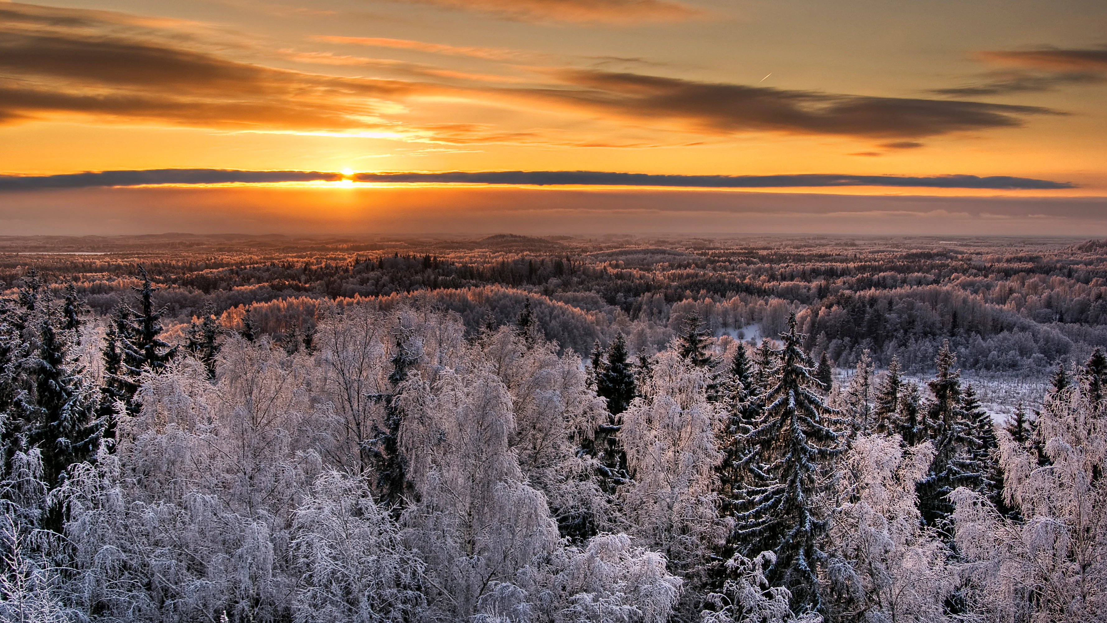 Snow-covered trees under a sunset sky with hilly terrain in the background.