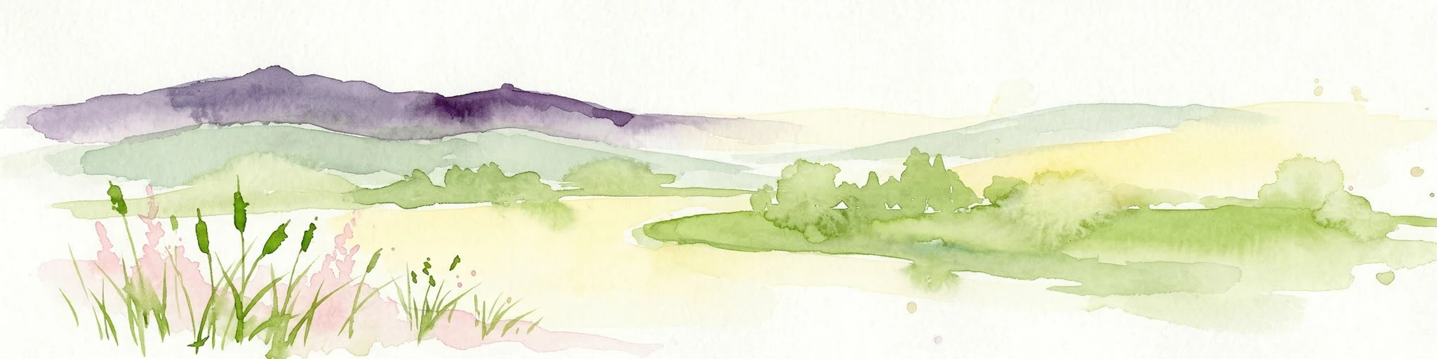 Ilustración en acuarela que muestra colinas ondulantes, prados, flores silvestres y montañas a lo lejos