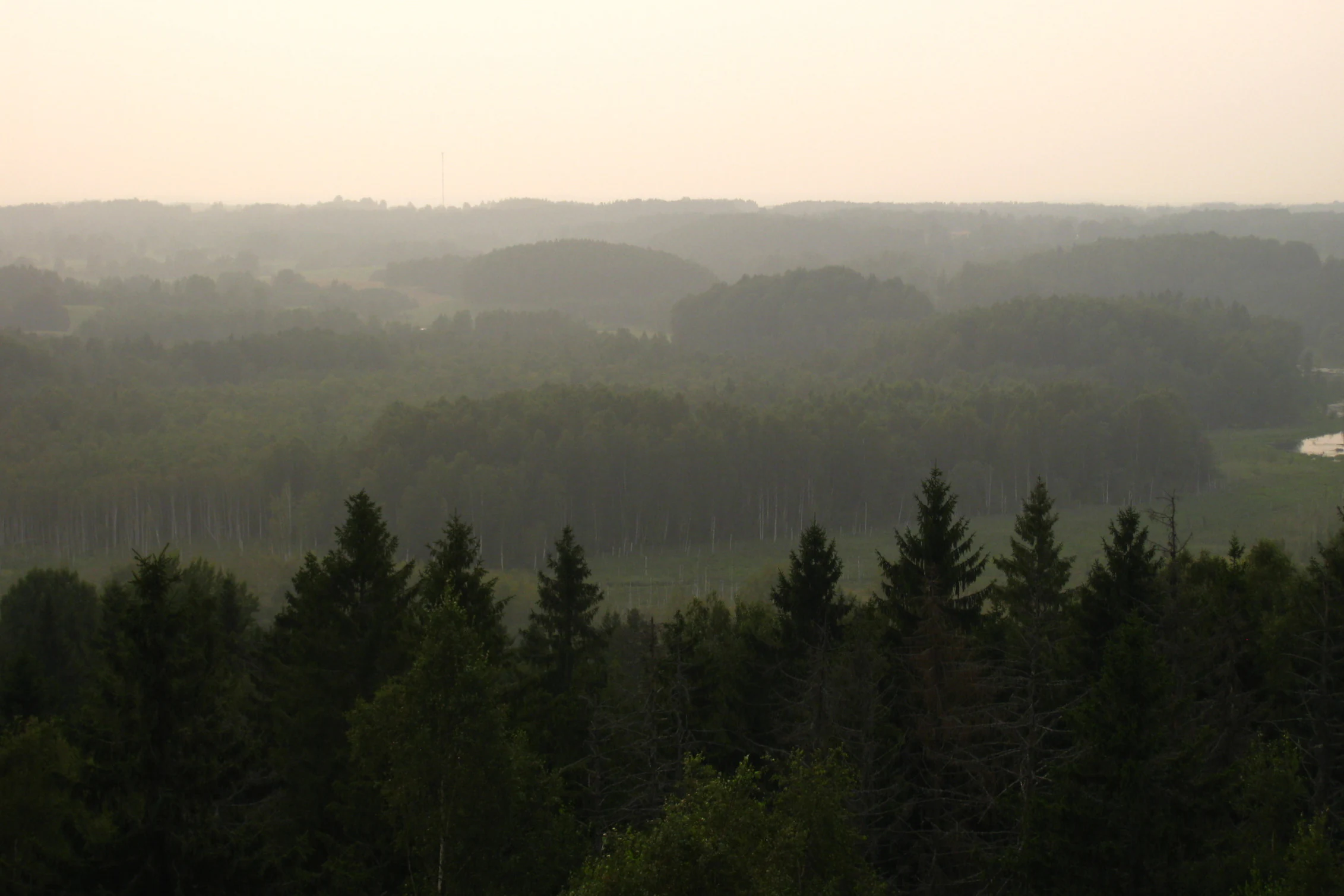 Forest landscape with rolling hills and distant horizon viewed from an observation tower