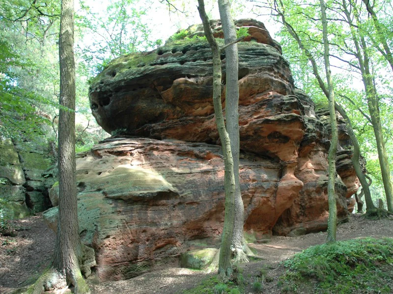 Una gran formación rocosa de arenisca erosionada por el clima, con estratificación horizontal profunda y texturas musgosas, rodeada de árboles caducifolios en un entorno forestal.