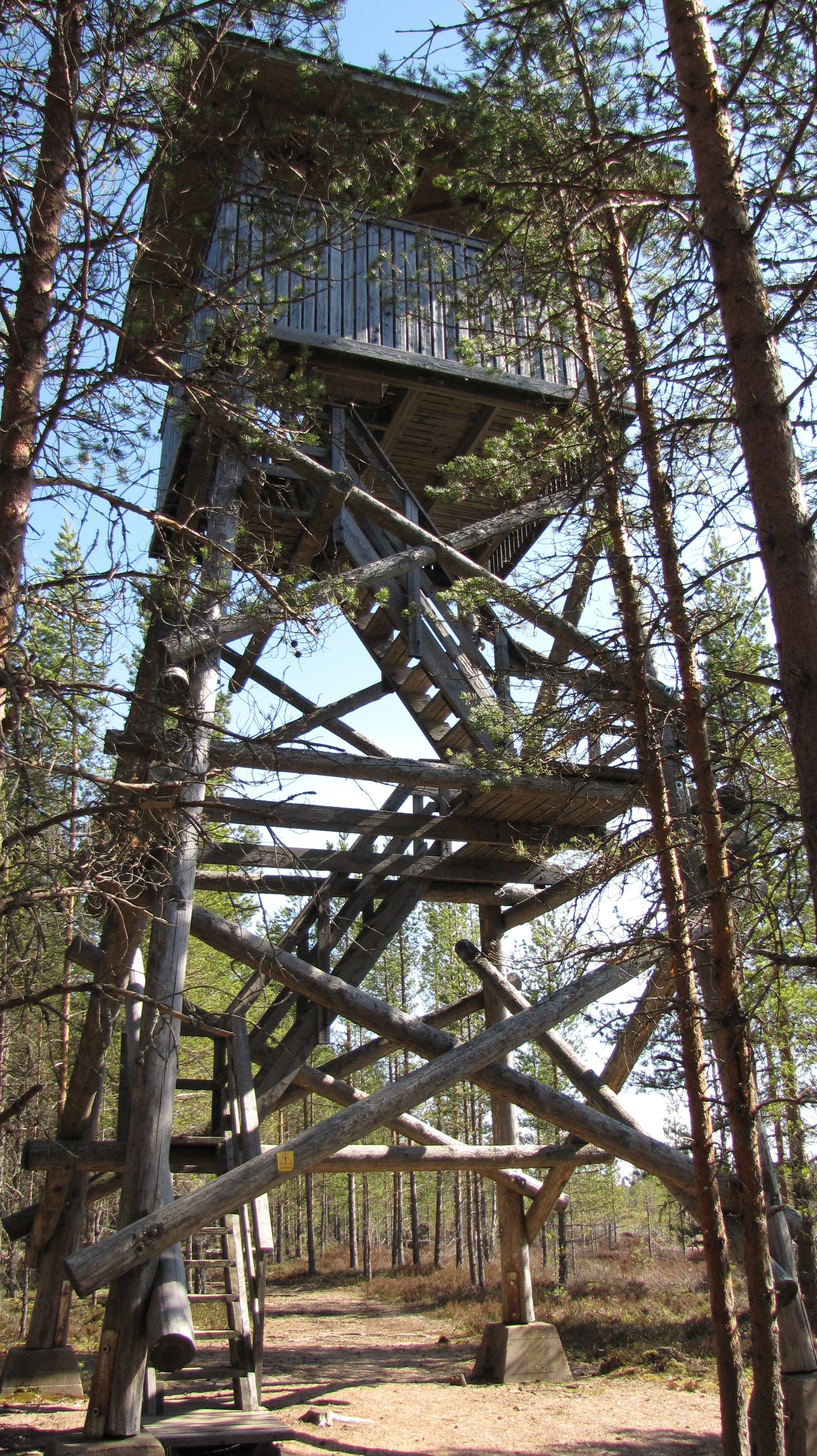 Tall wooden observation tower with staircase, surrounded by pine trees in a forested area