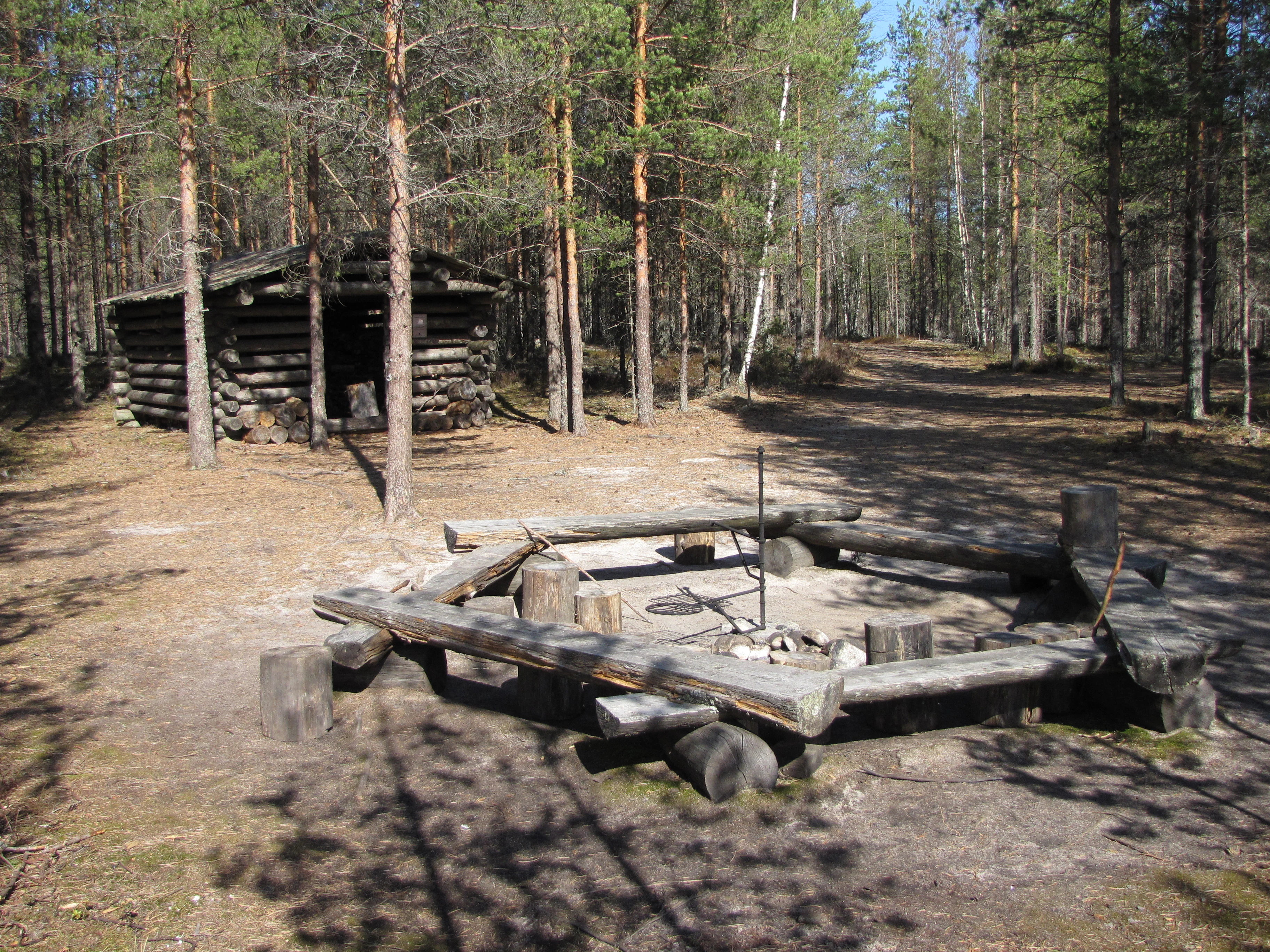 Wooden campfire ring, picnic tables, and log cabin structure surrounded by pine forest