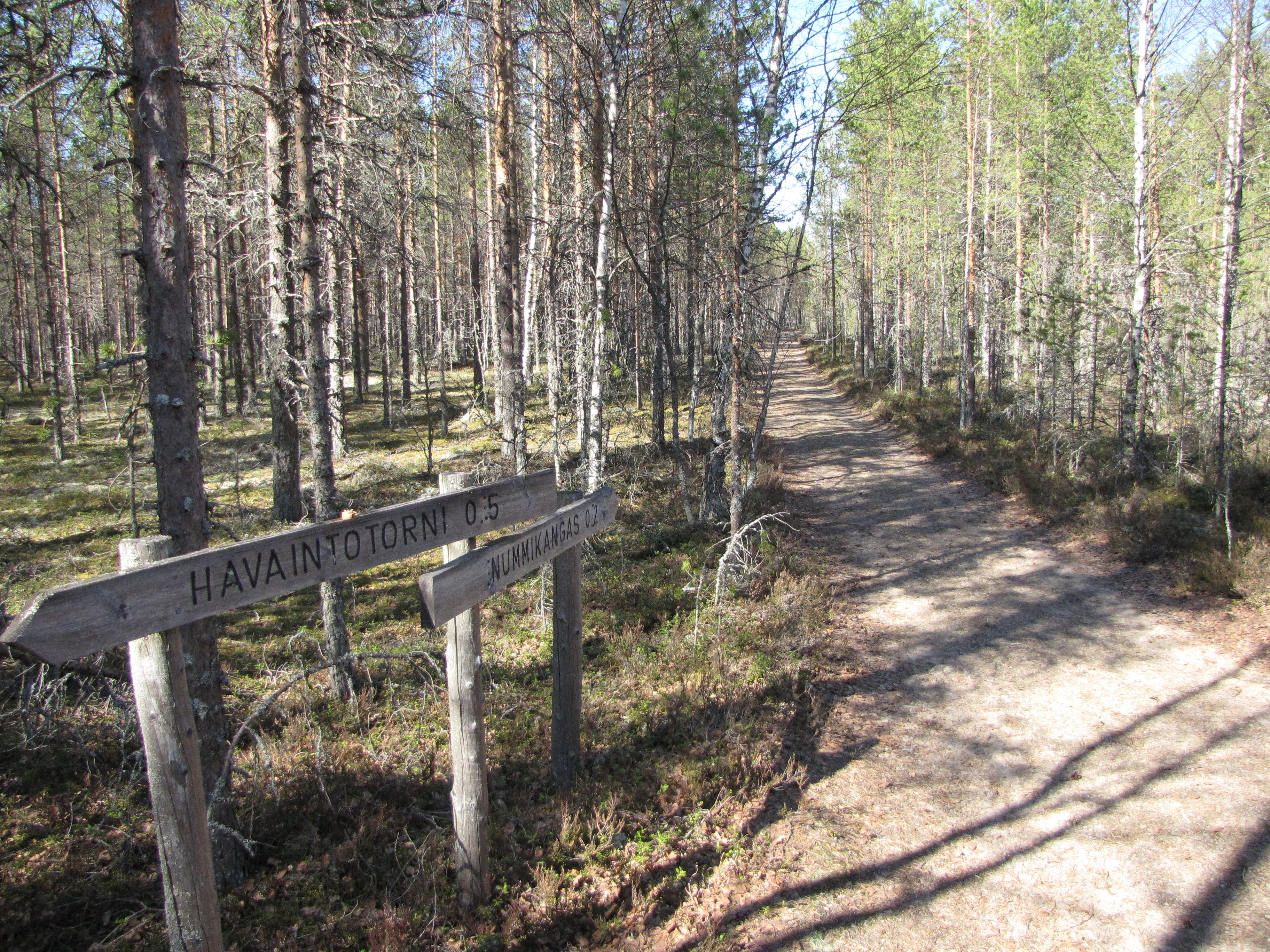 Dirt trail through forest with wooden signs reading 'H AVAINPÖYRYN 1 5' and 'KÄYNNISTÖ'