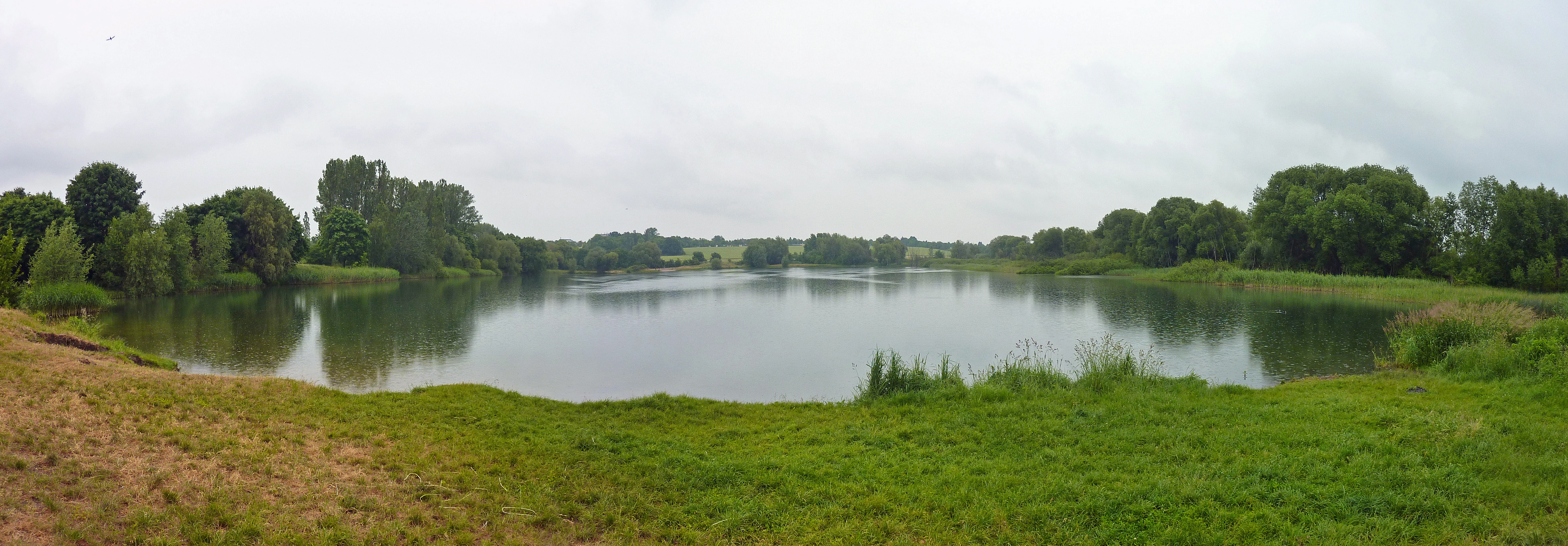 Panoramic view of a quiet lake surrounded by trees and green grassy shores under a cloudy sky.