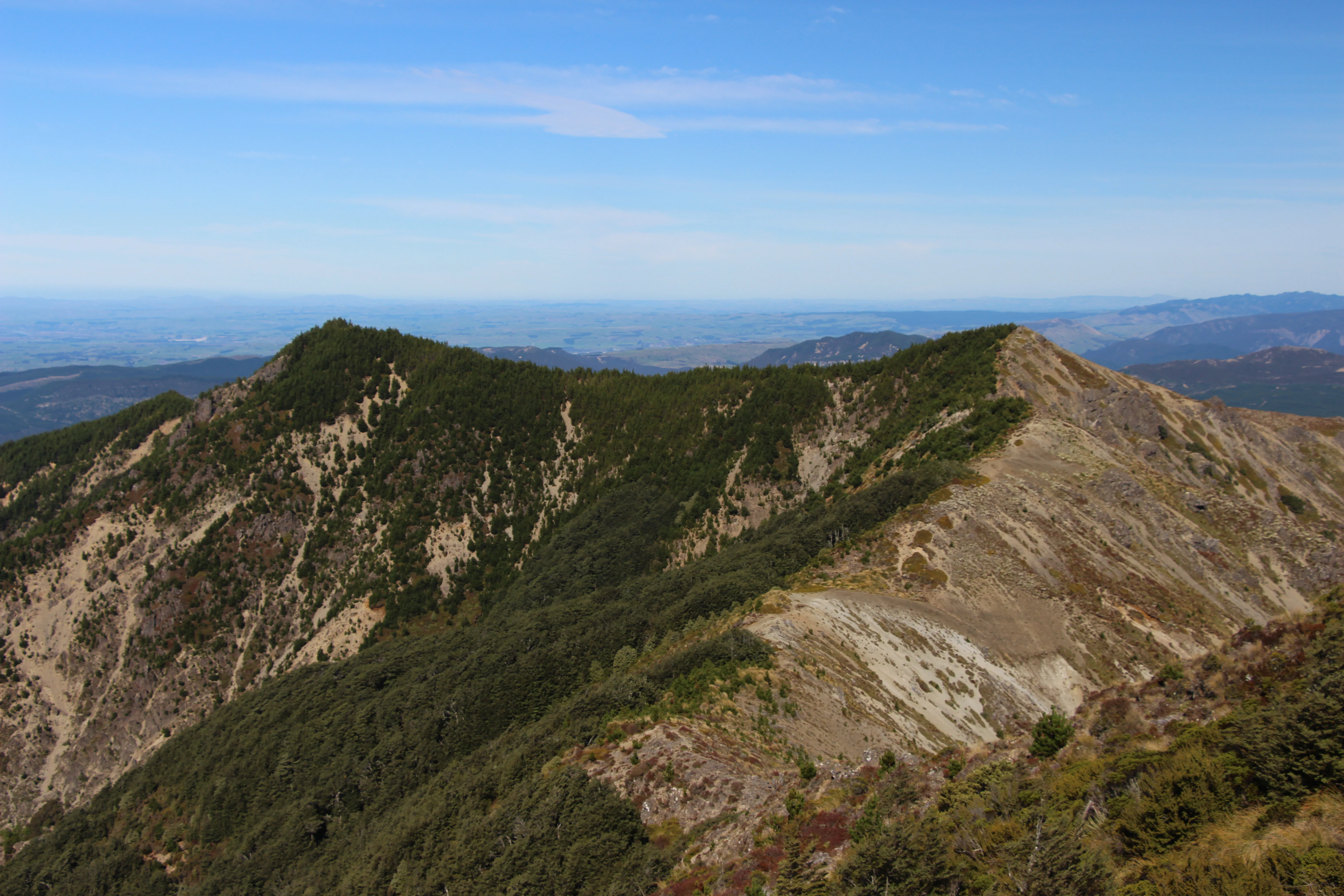 A wide landscape view of a mountain range with forested slopes, rocky ridgelines, and distant valleys under a clear blue sky.