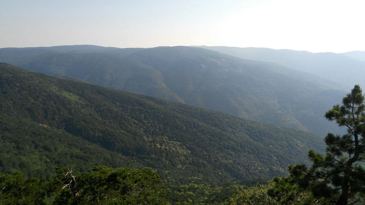 Lush green mountain range with valleys under a clear sky, visible trees in the foreground
