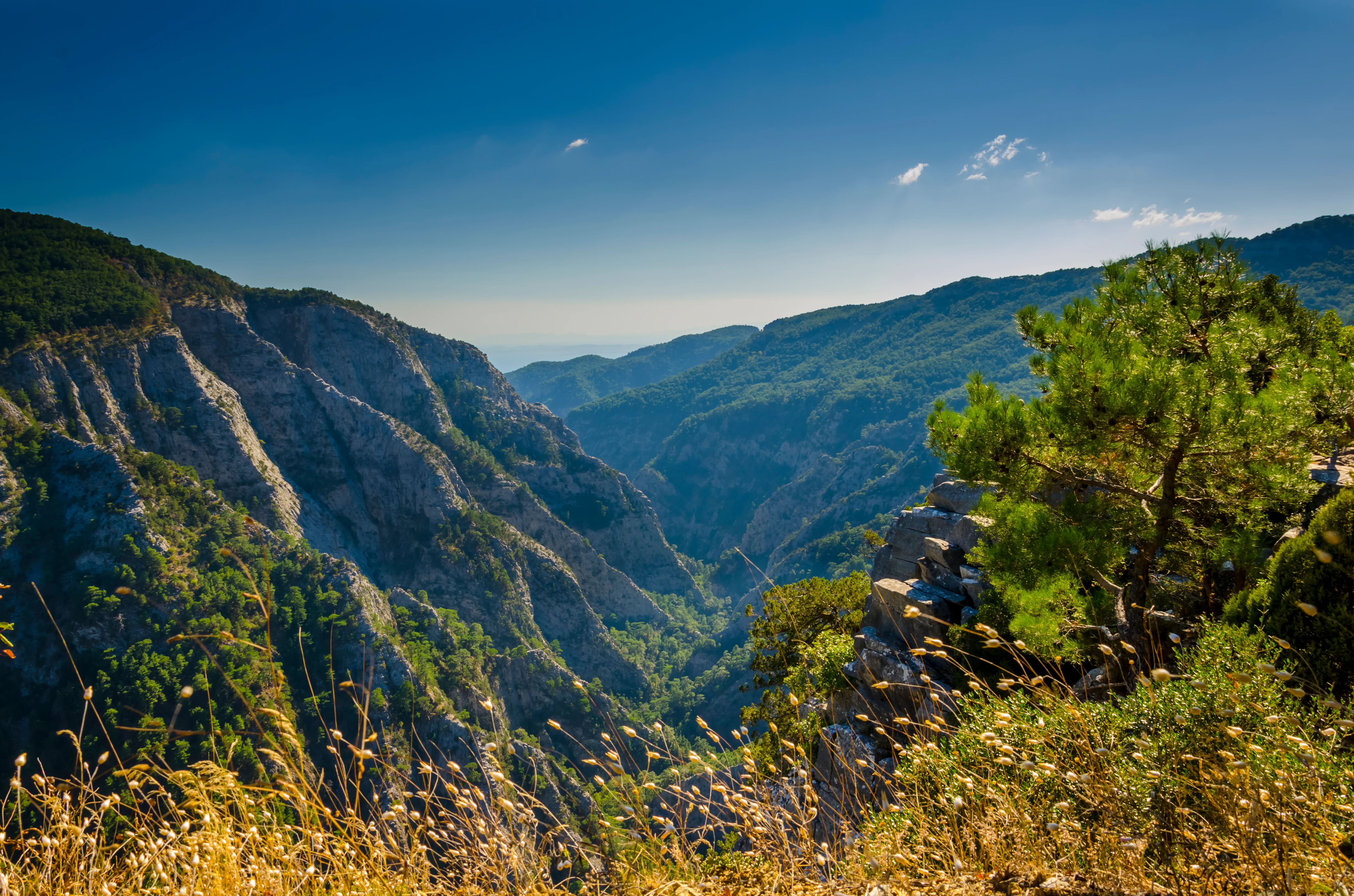 A panoramic view of Şahinderesi Canyon with steep rocky cliffs, lush green vegetation, and a clear blue sky